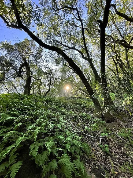 Karuna Yoga Group Hike