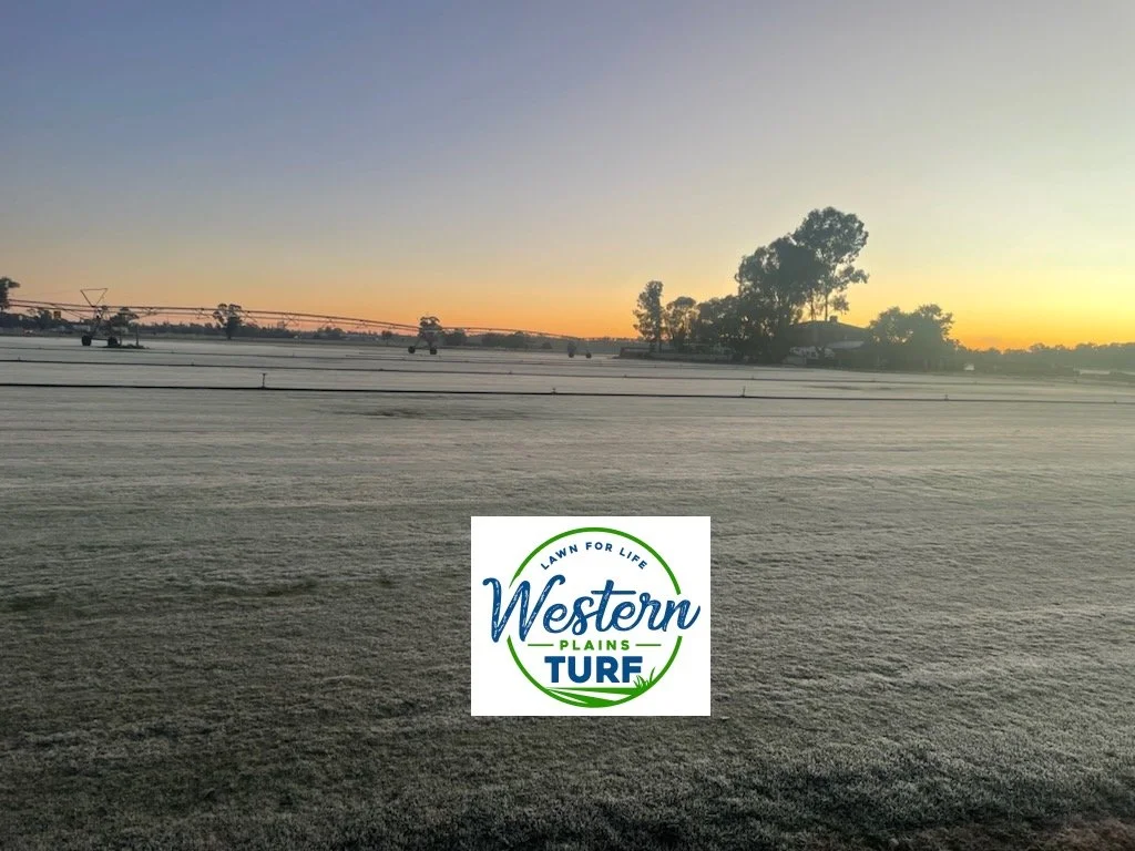 WHAT TO EXPECT IN WINTER & HOW TO HELP YOUR LAWN SURVIVE