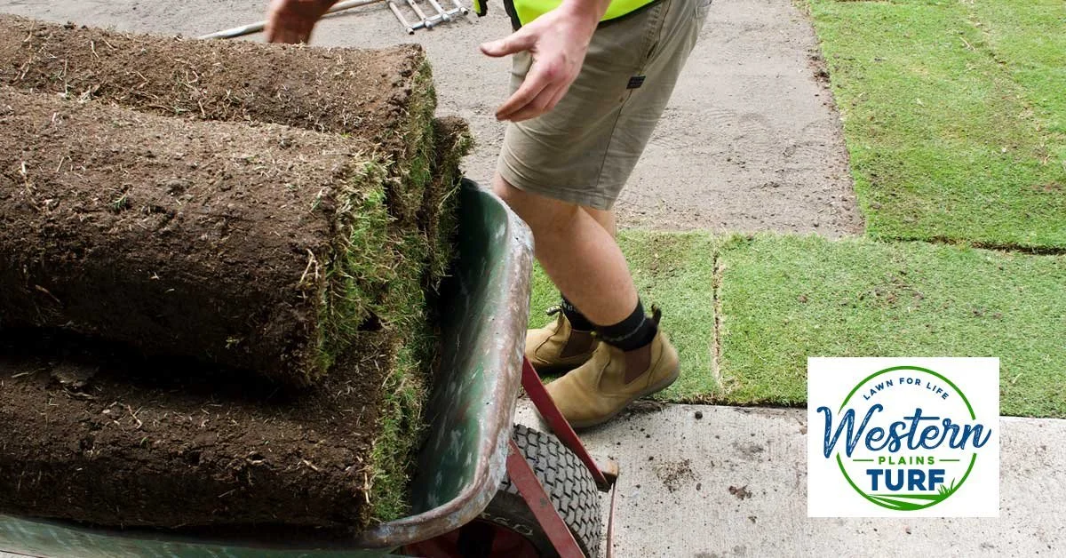 CAN I LAY TURF IN WINTER &amp; WHAT PRECAUSTIONS DO I TAKE?