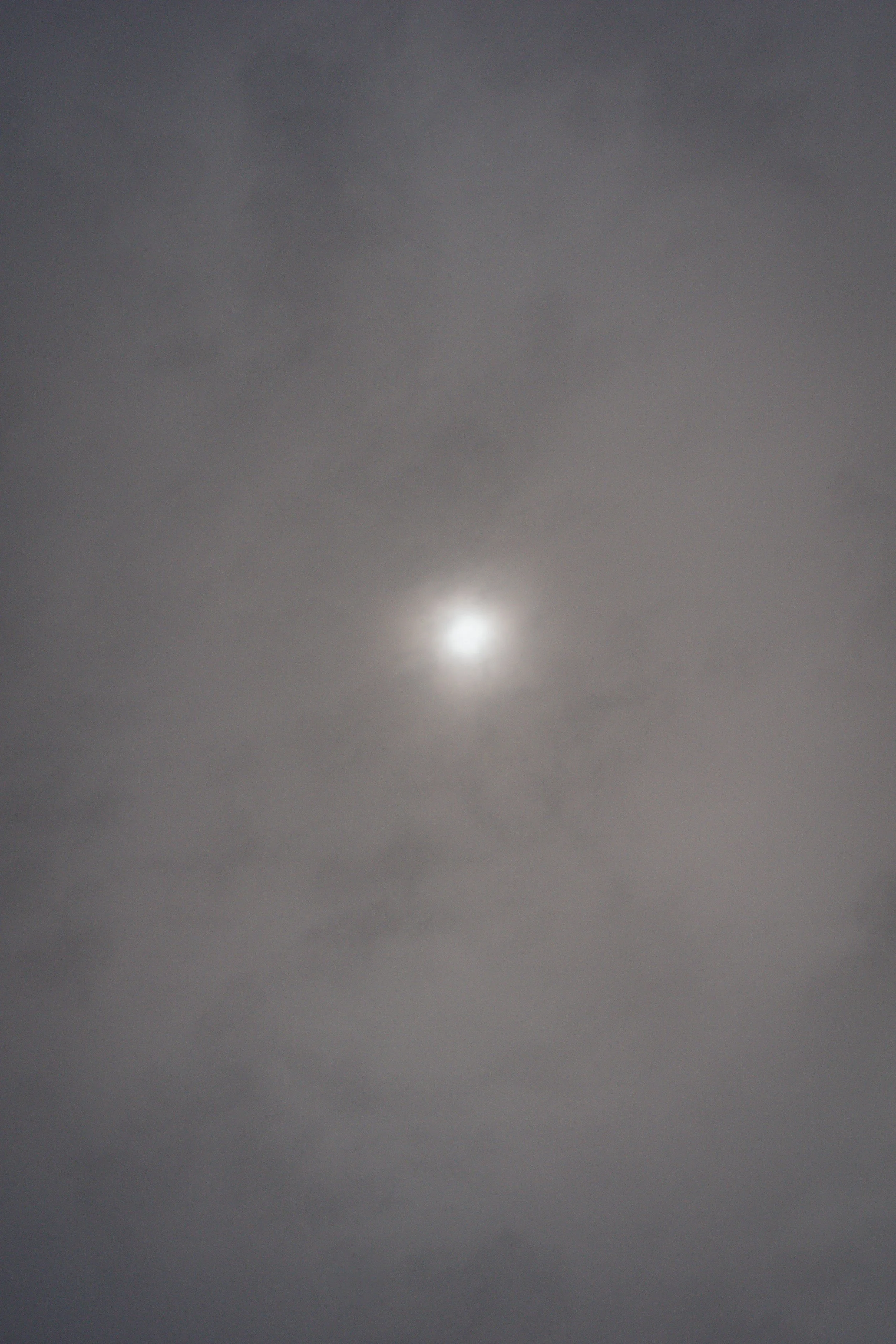 A_507583.jpg