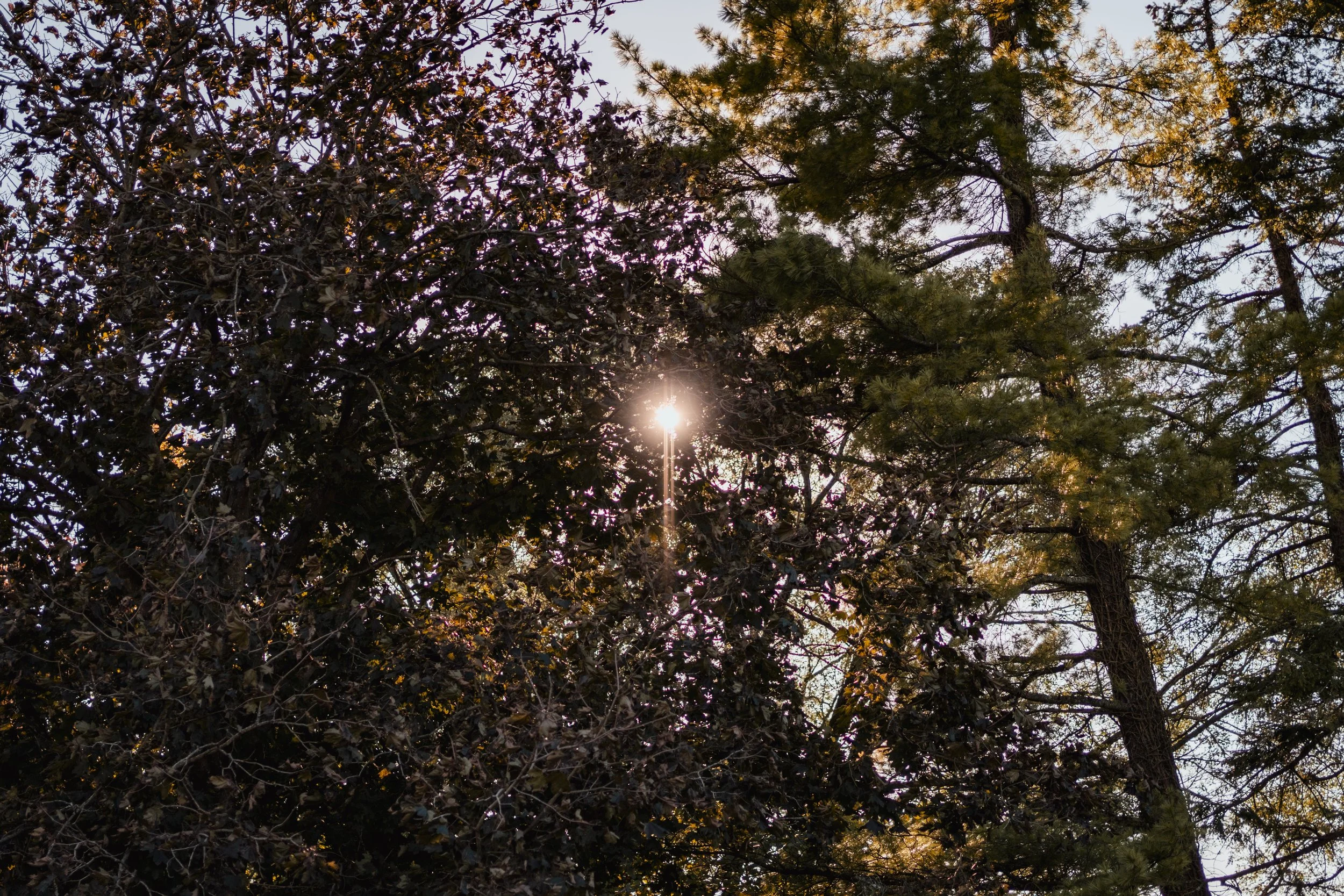 A7R05961.JPG
