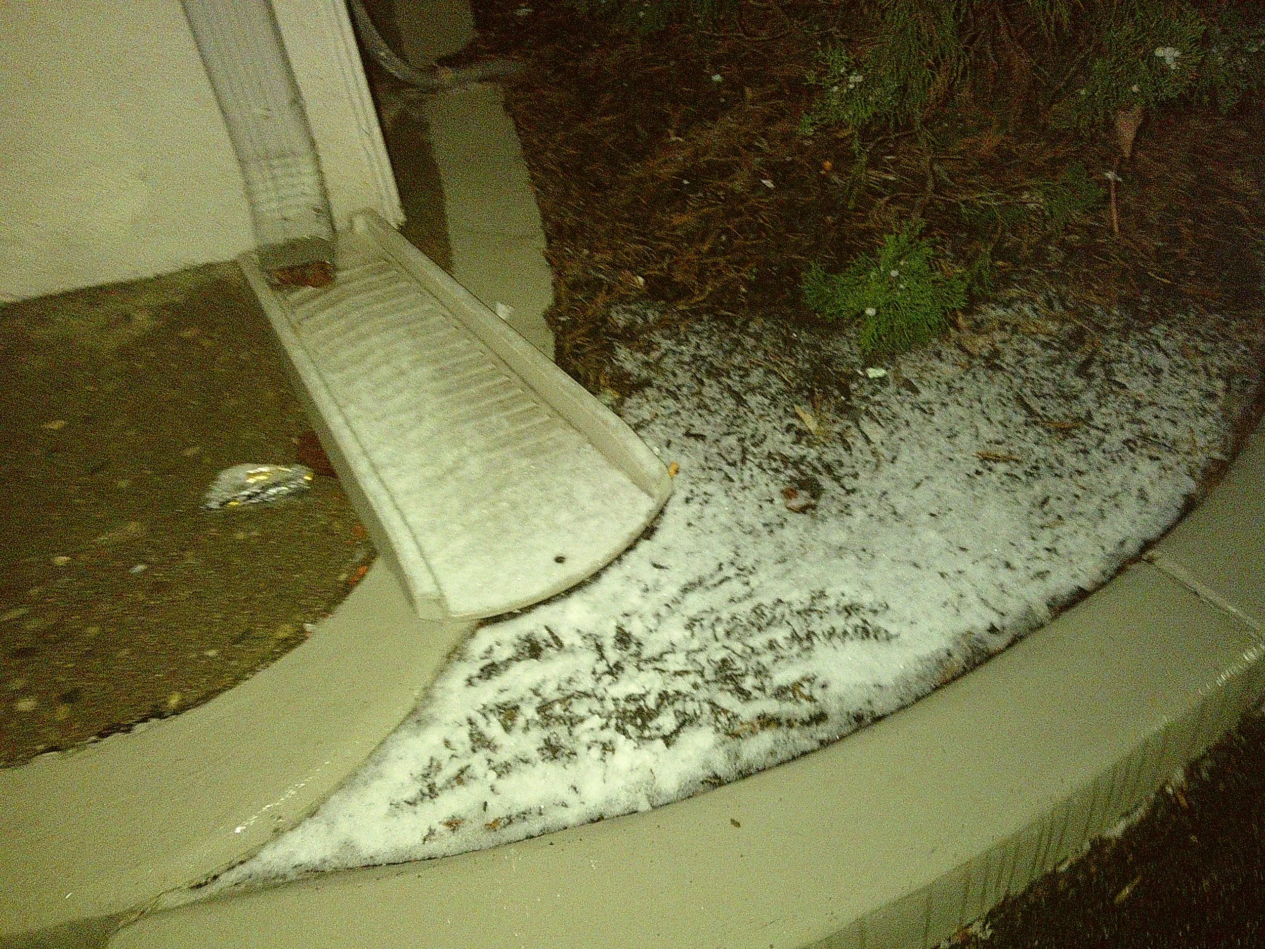 Teal Camera 1 (39).JPG