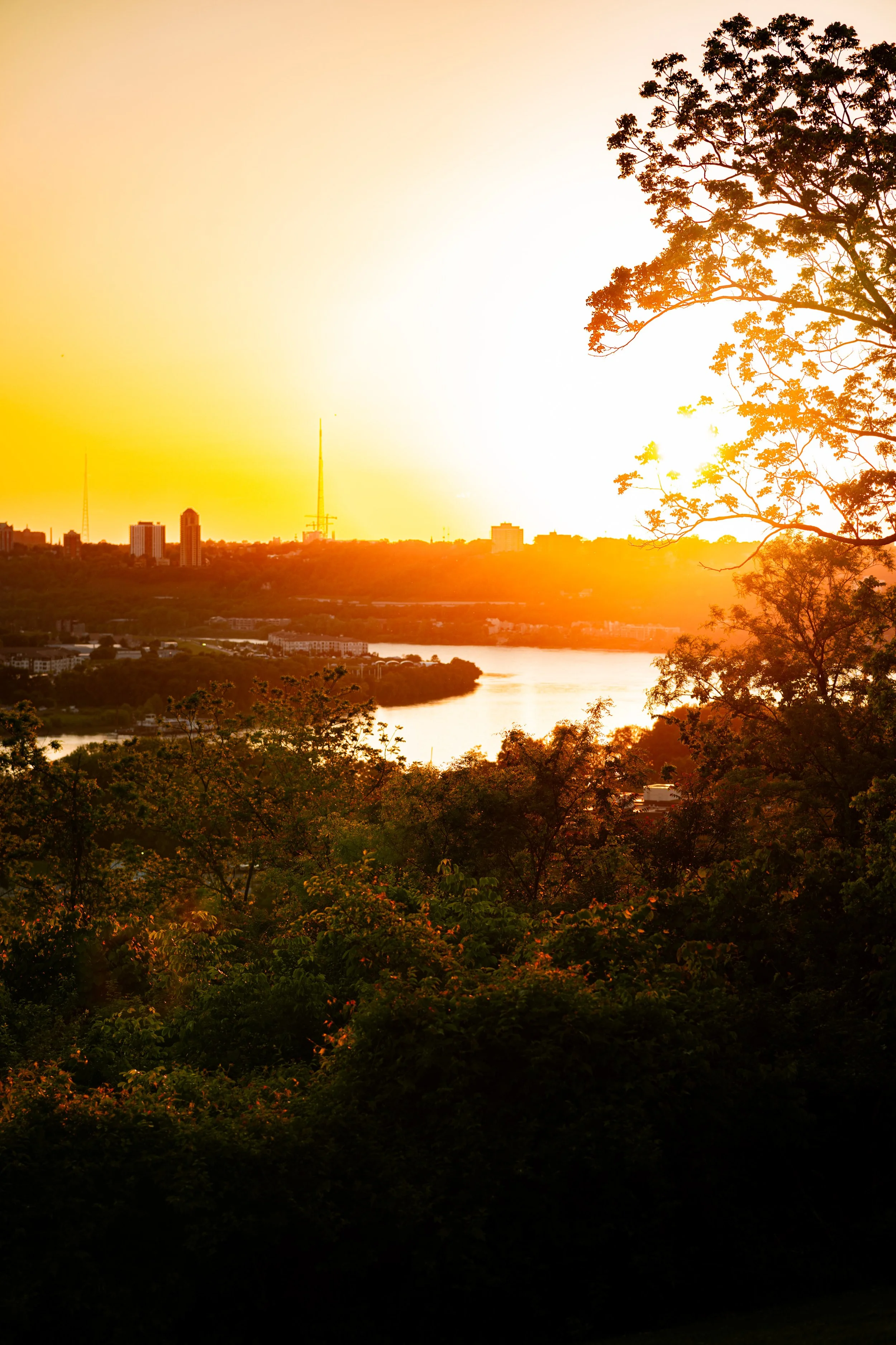 Alms Park Engagement (126).jpg