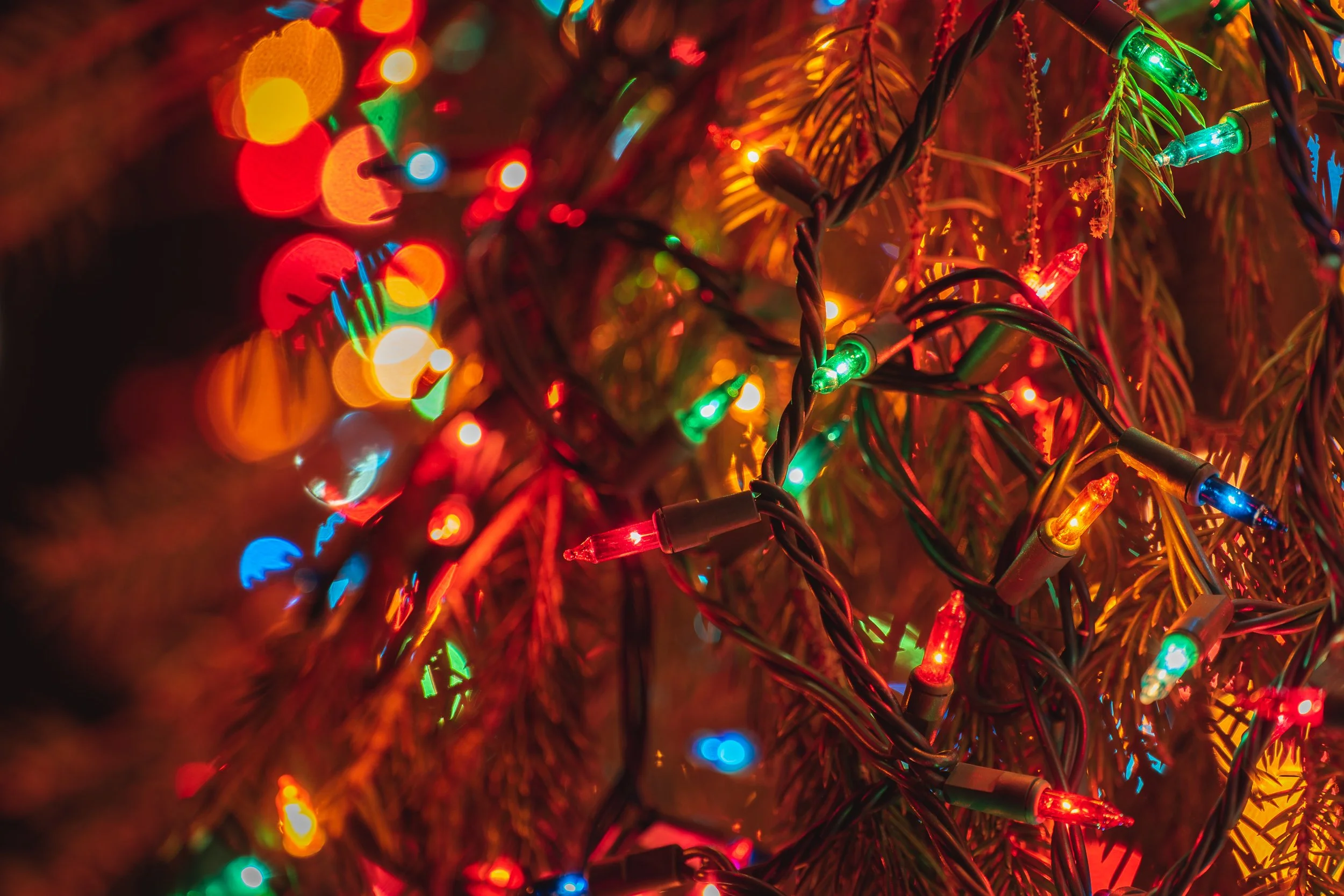 Colorful Christmas lights tangled on a tree with blurred multicolored bokeh background.