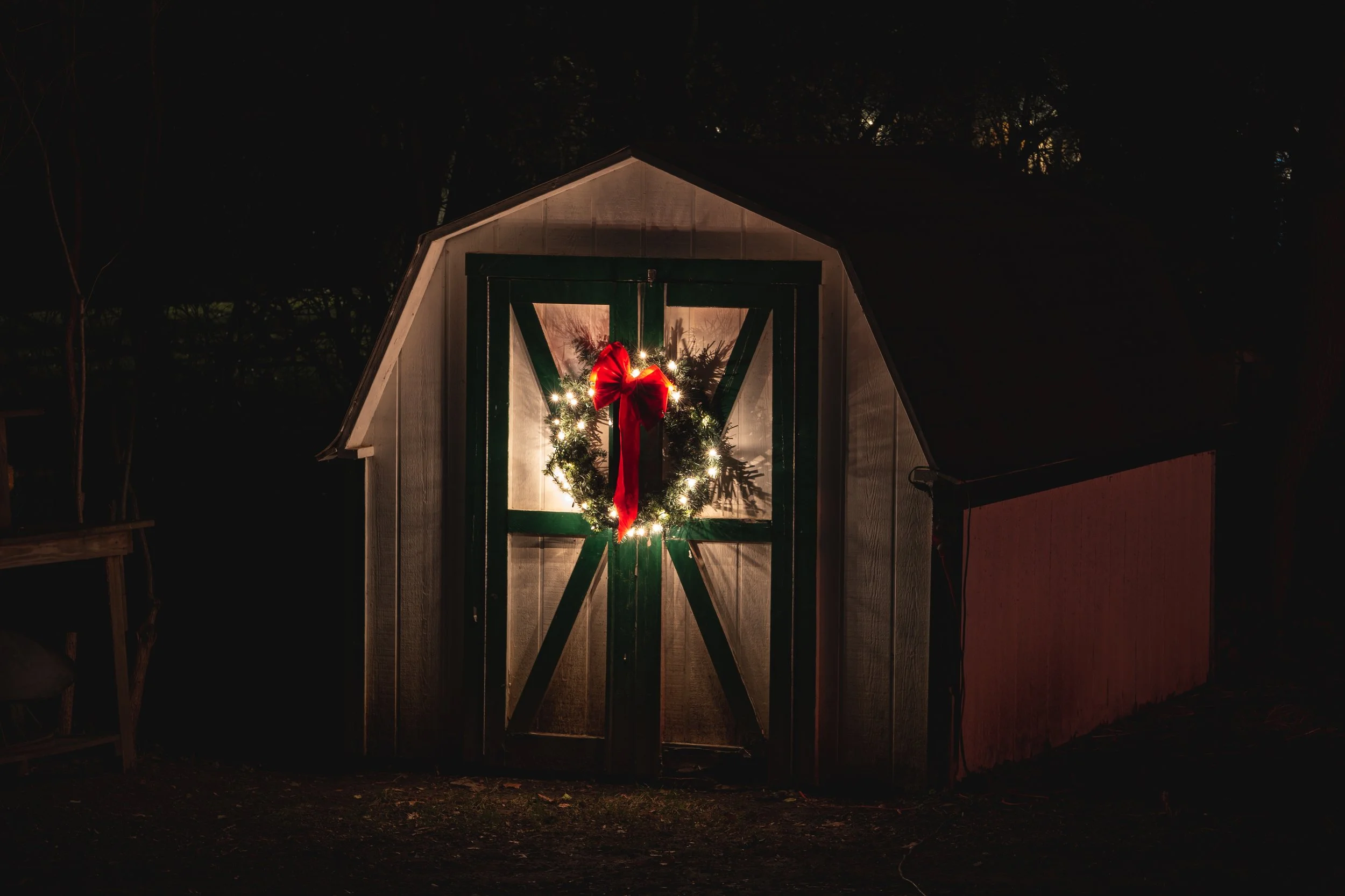 A small wooden shed decorated for Christmas with a wreath that has a red bow and string of lights hung on the door, illuminated in a dark outdoor setting.