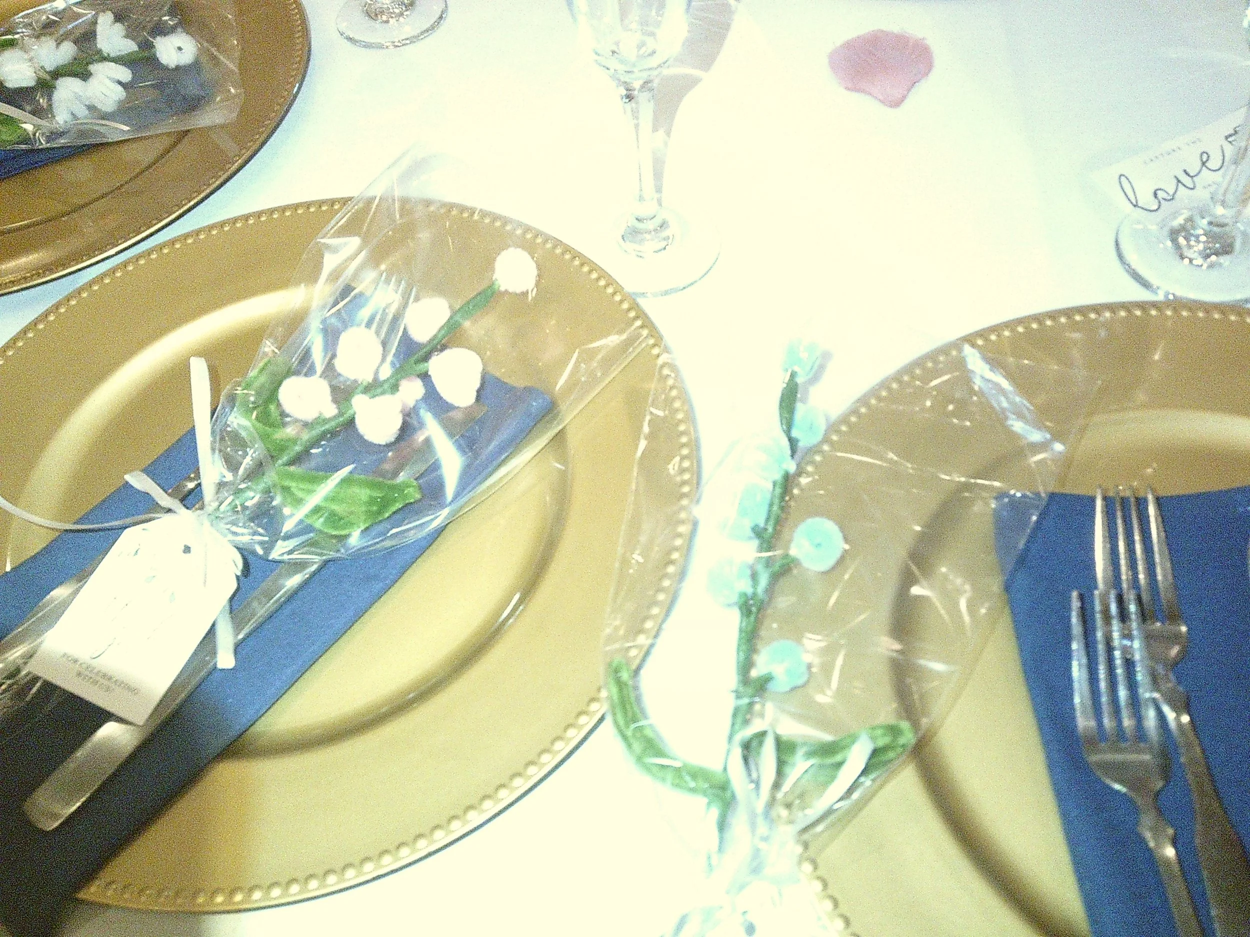 Pink Camera 3 (139).JPG