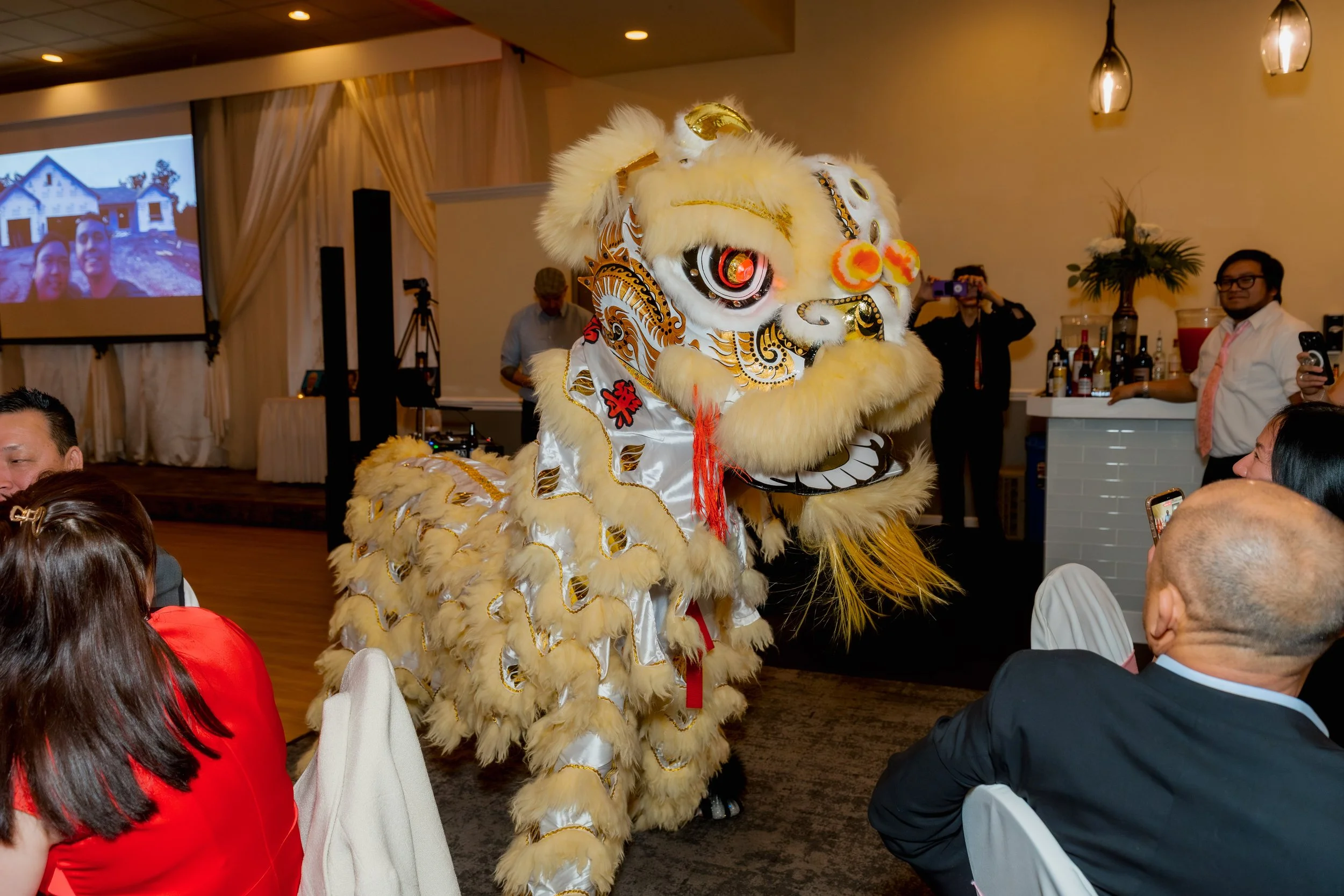 Lion Dance (18).jpg