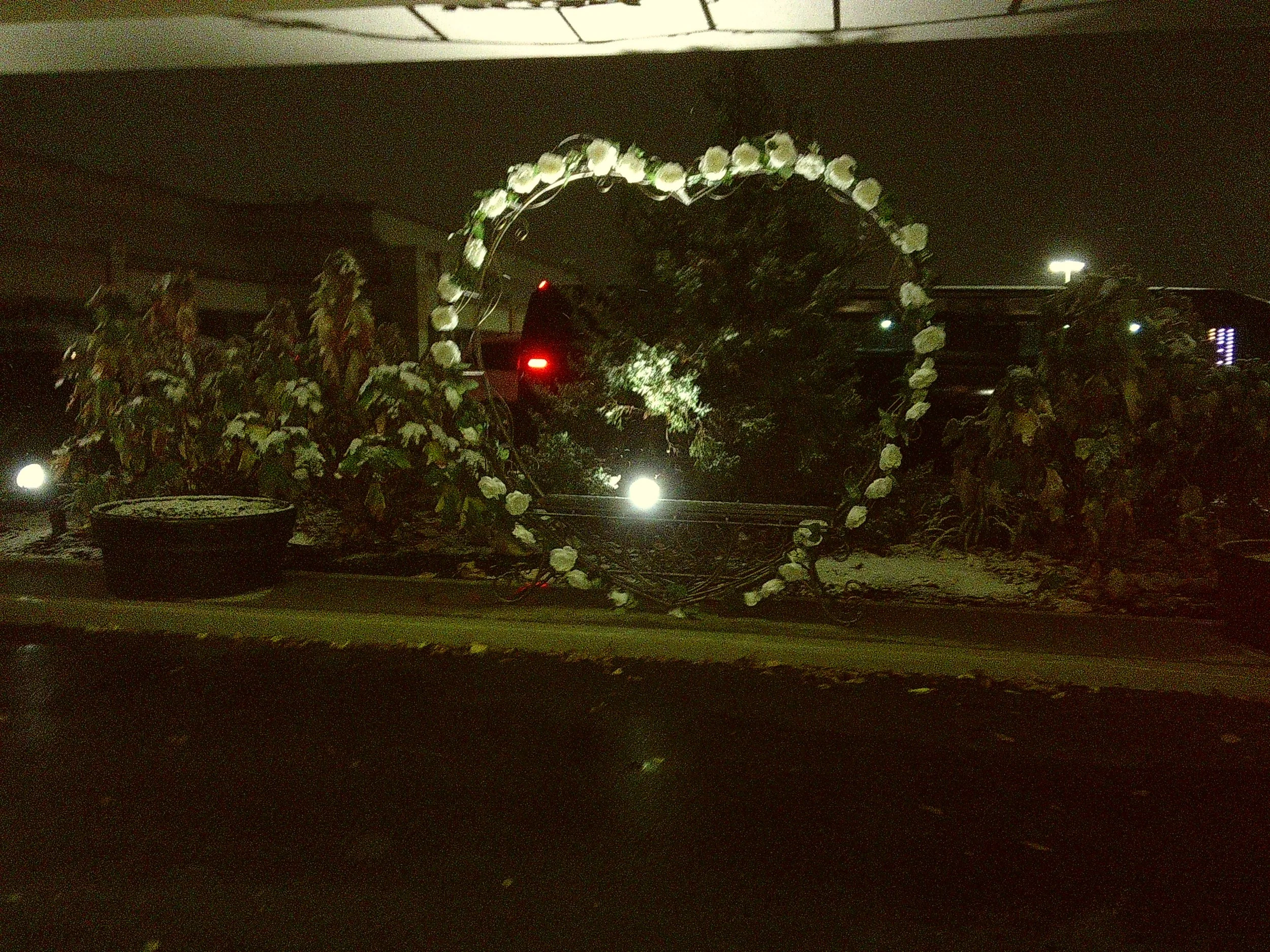 Teal Camera 1 (38).JPG