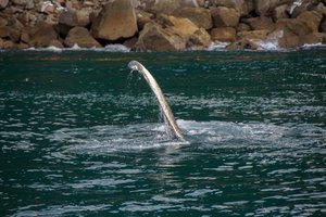 IMG_3475.jpg
