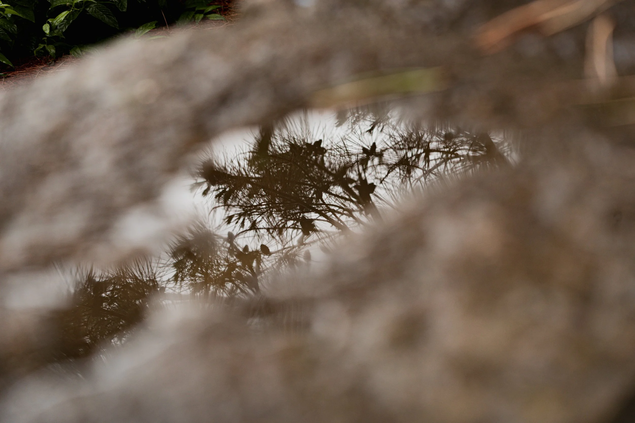 A_507570.jpg