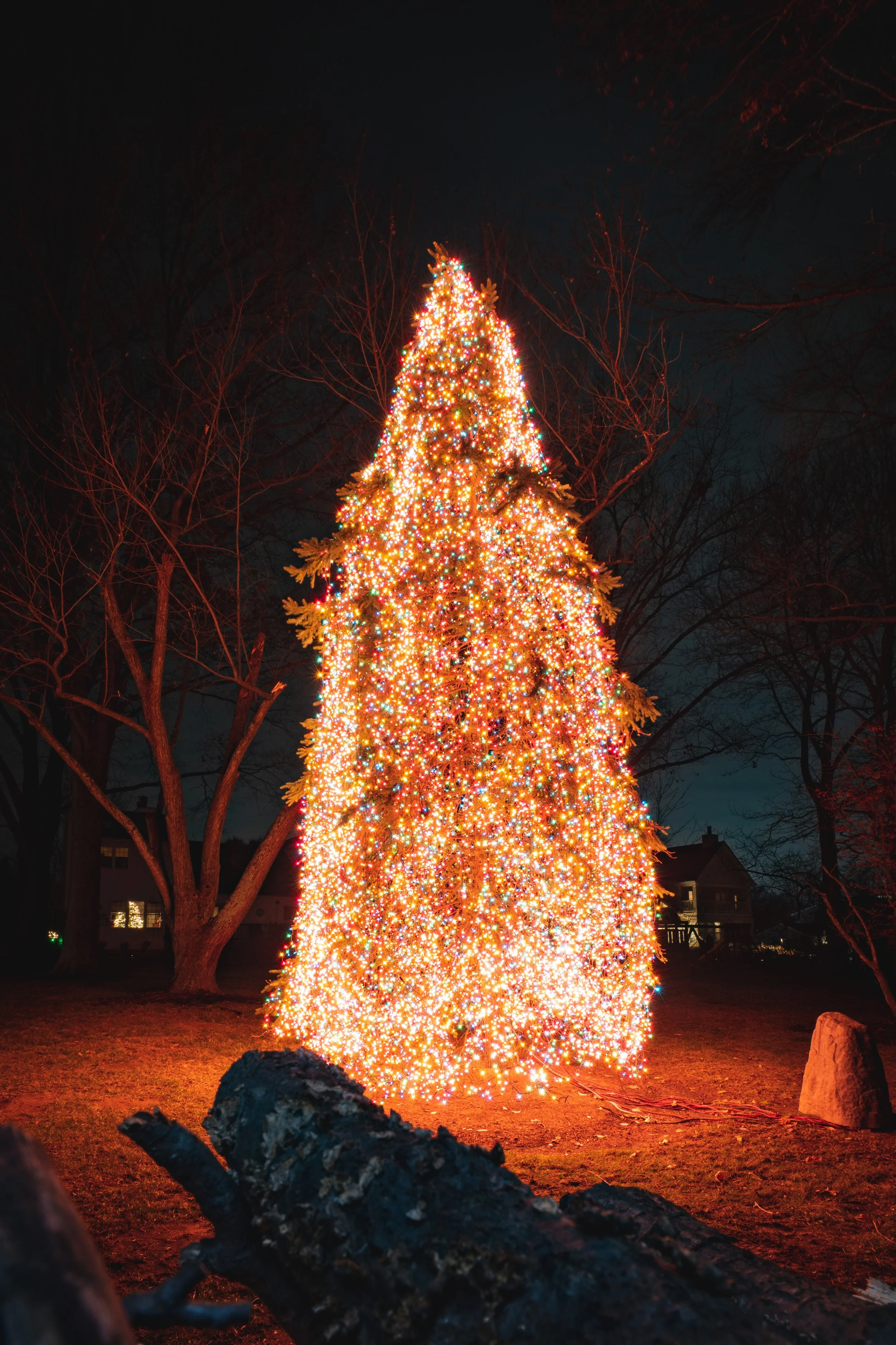 Christmas tree decorated with colorful lights outdoors at night.