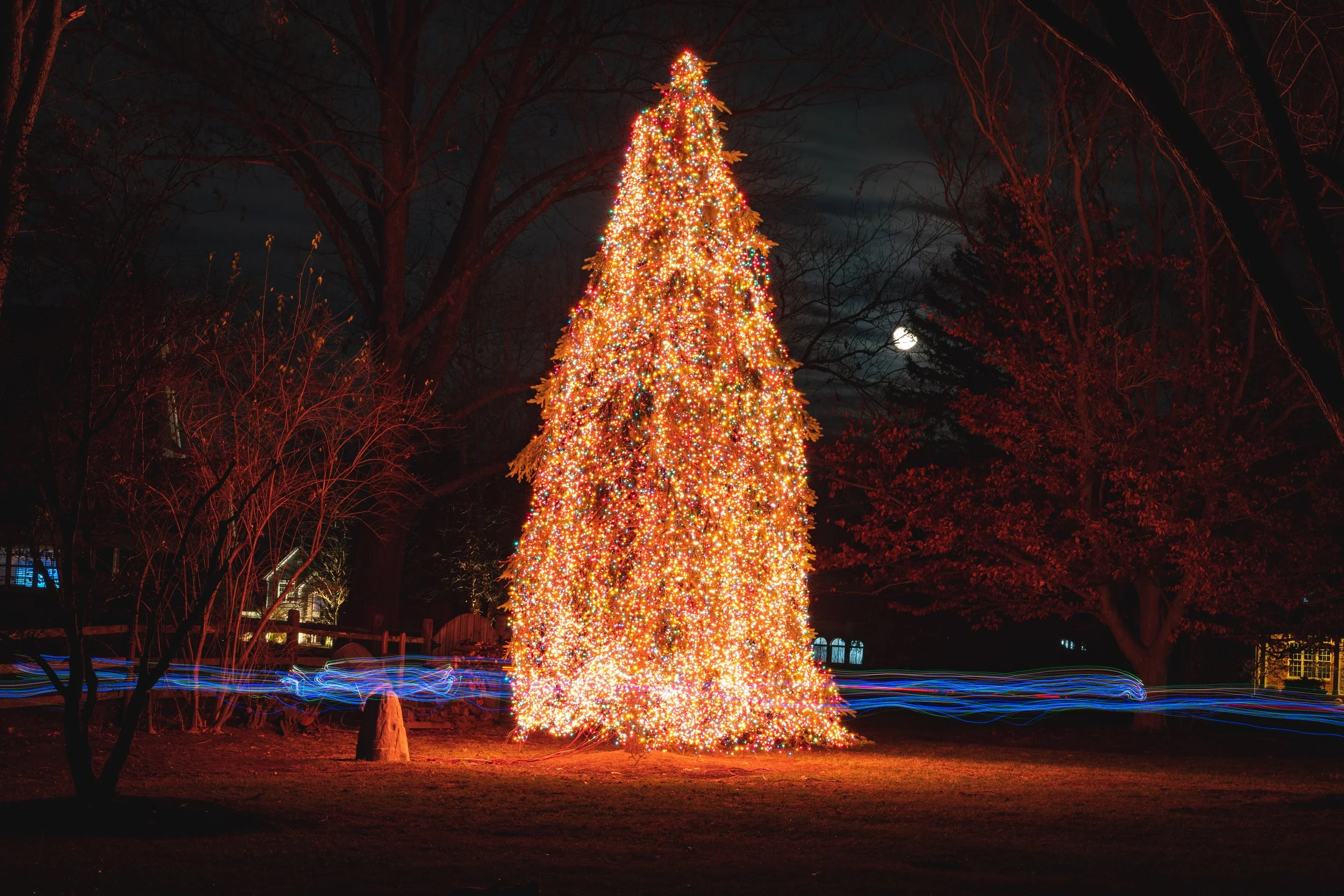 Brightly decorated Christmas tree with colorful lights in a park at night, with trees and the moon in the background.