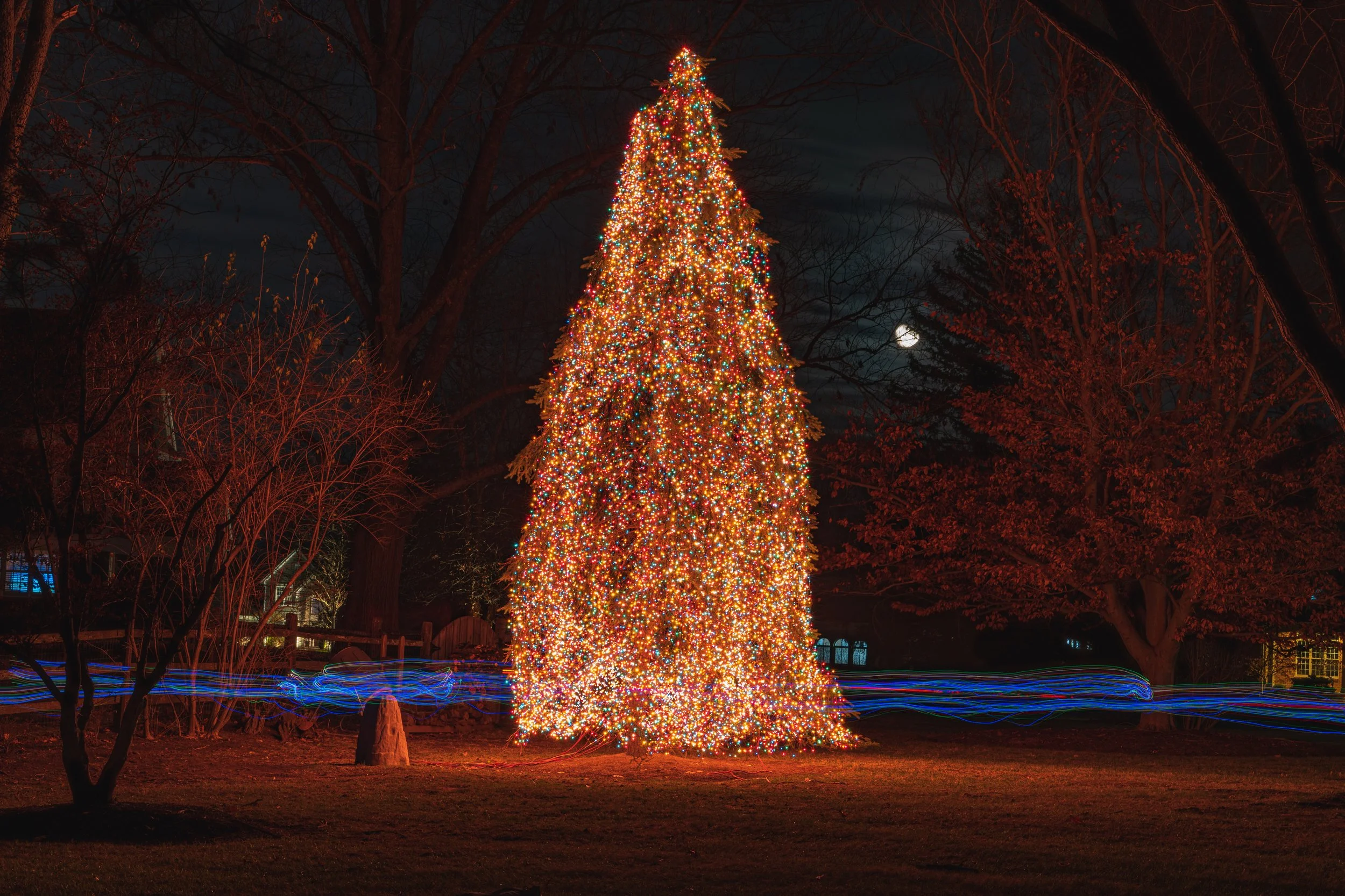 A large Christmas tree decorated with multicolored lights in a park at night, with bare trees and a full moon in the background.