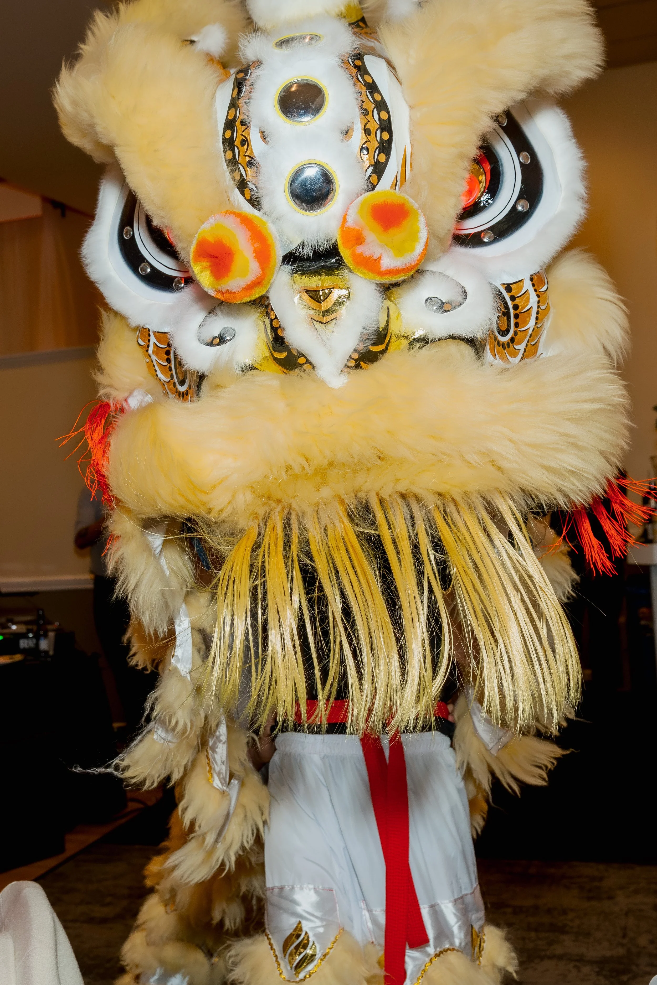 Lion Dance (20).jpg