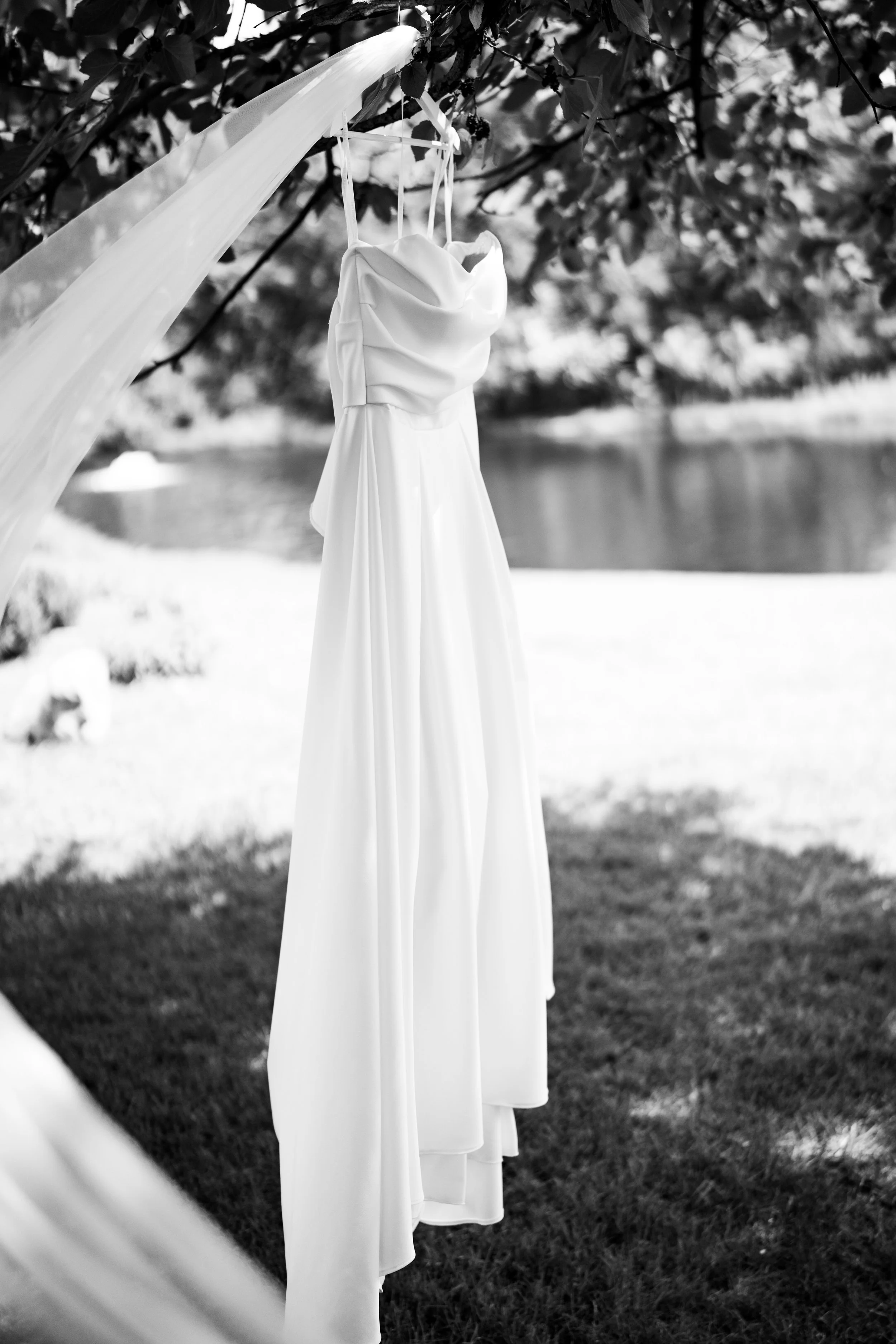A7203122-2.jpg