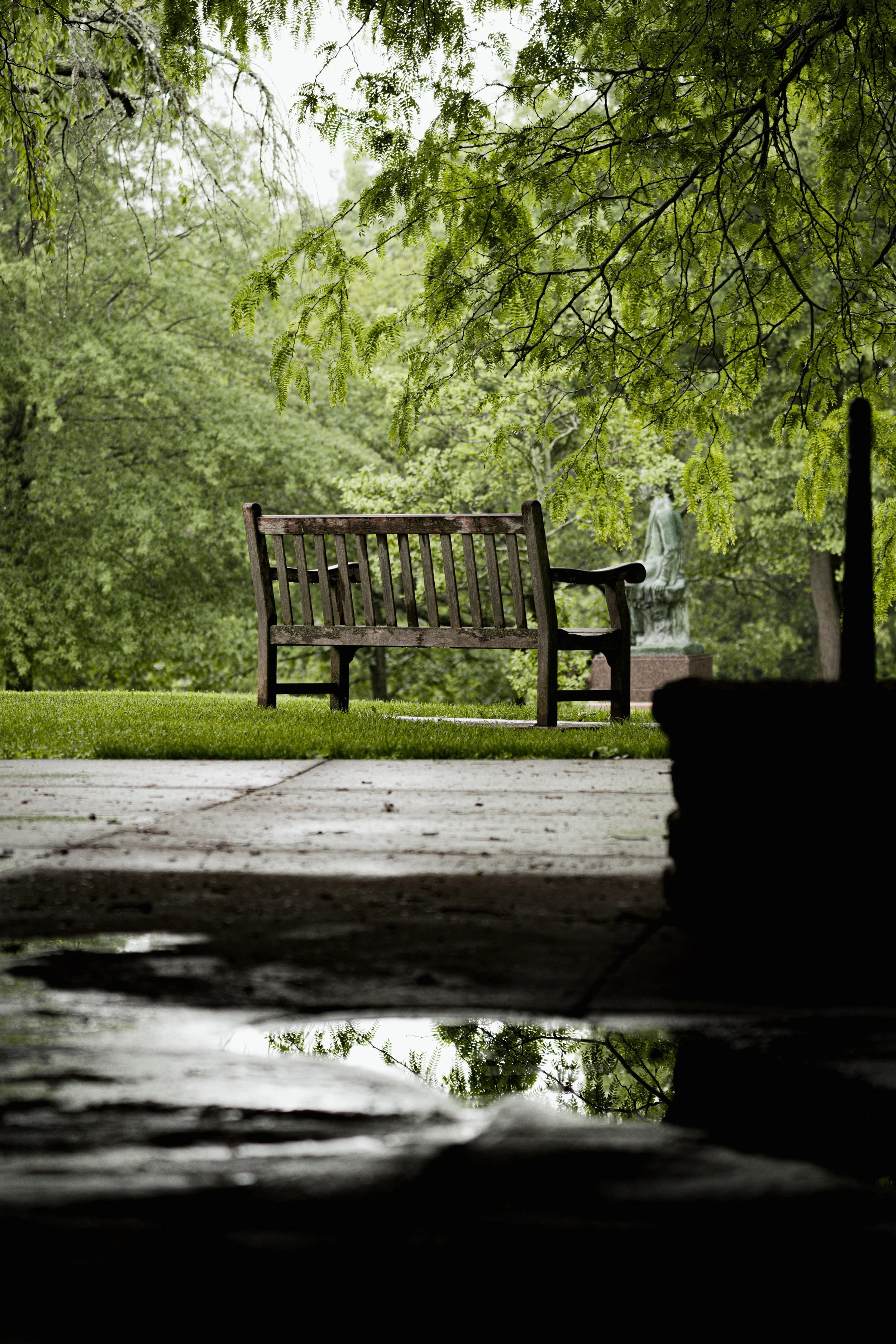 A_507584.jpg
