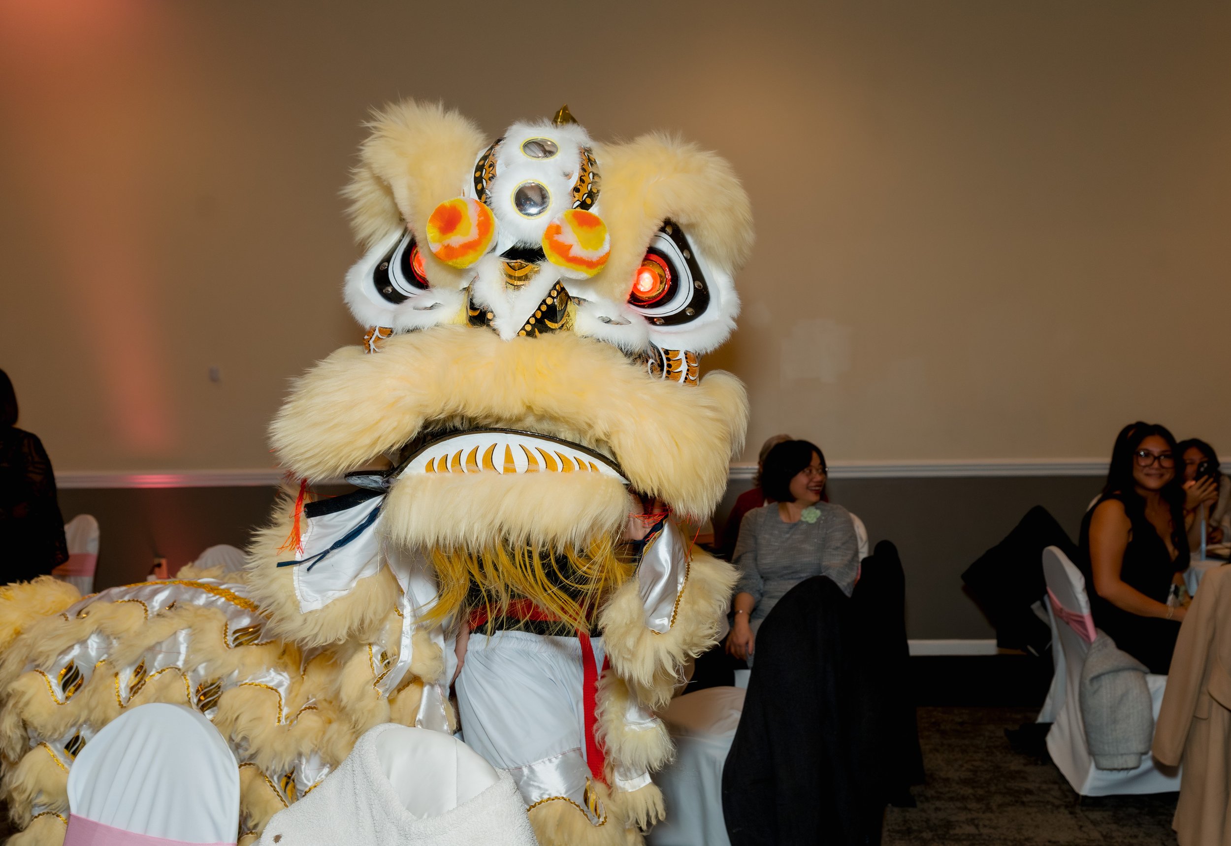 Lion Dance (26).jpg