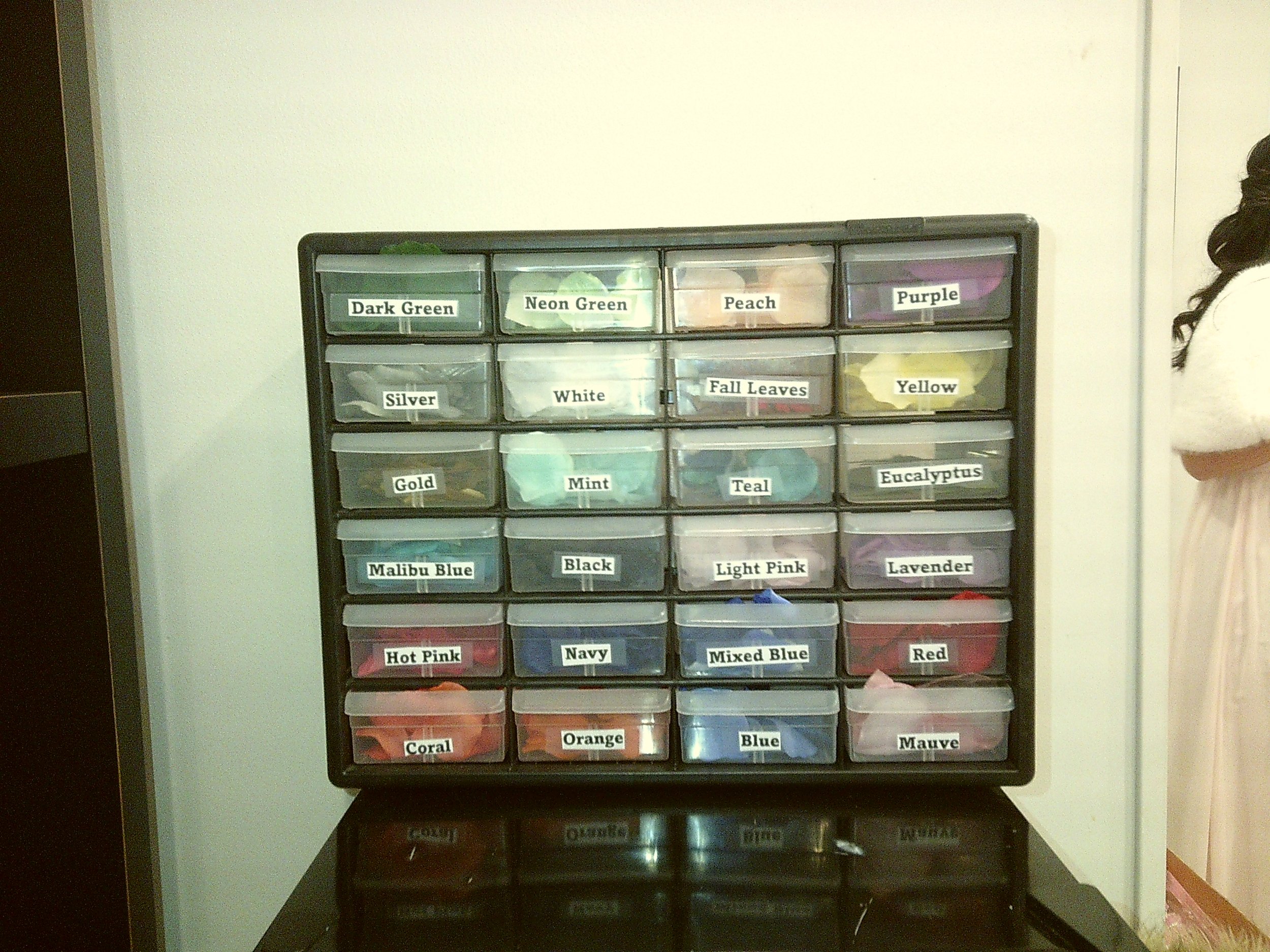 Teal Camera 1 (274).JPG