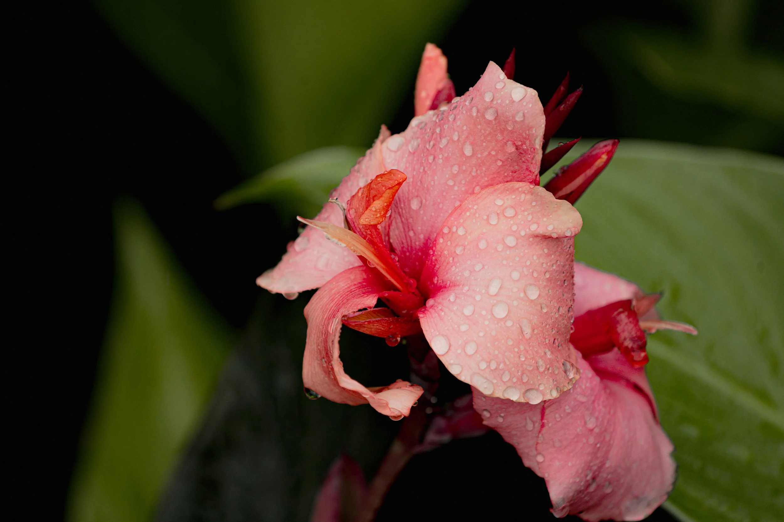 A_507562.jpg