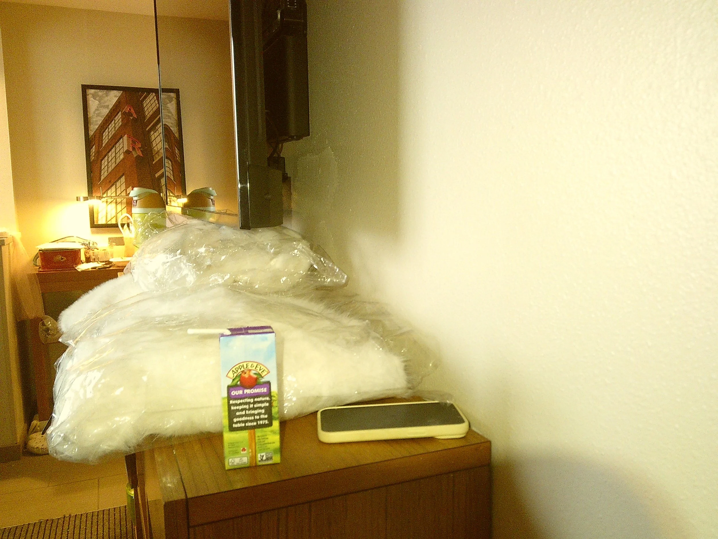 Pink Camera 3 (65).JPG