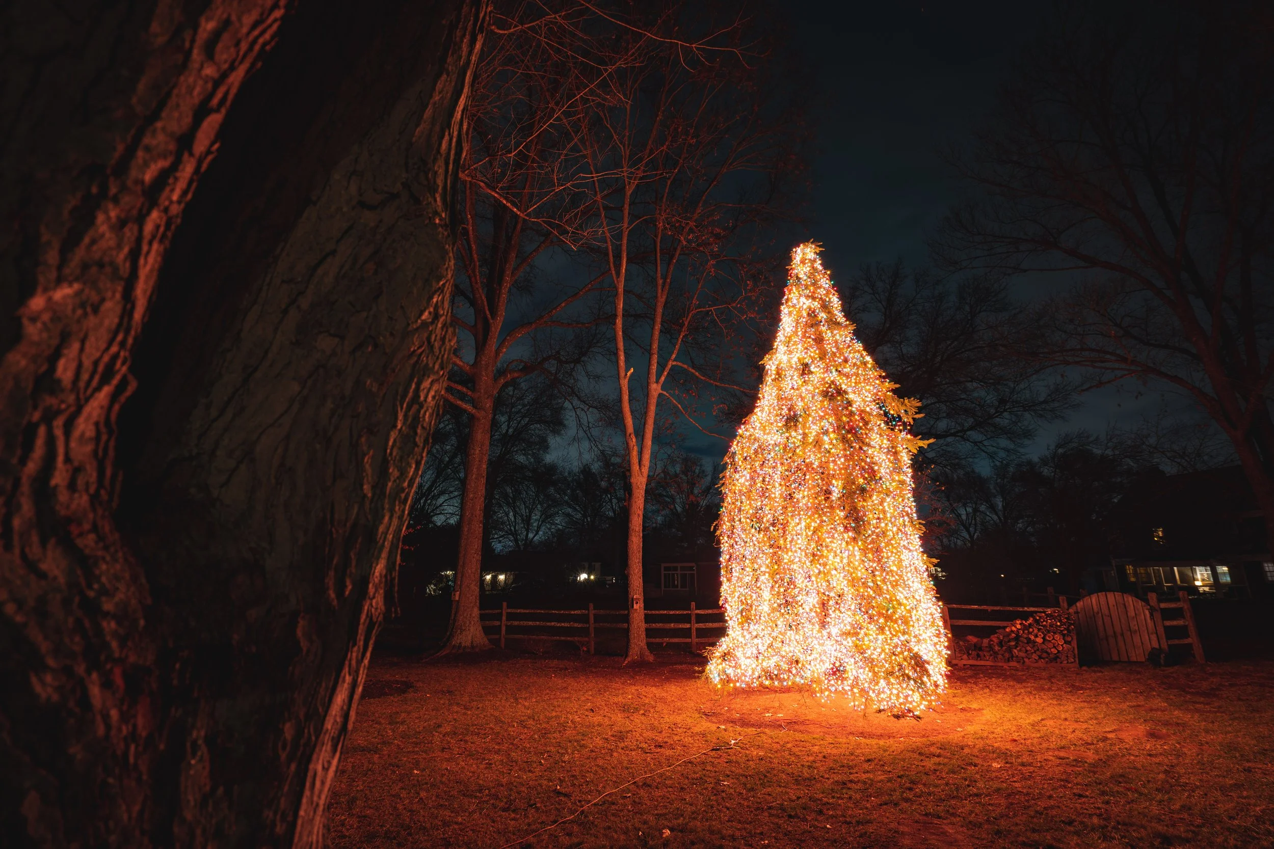 A Christmas tree decorated with colorful lights stands in a yard at night, with trees and houses in the background.