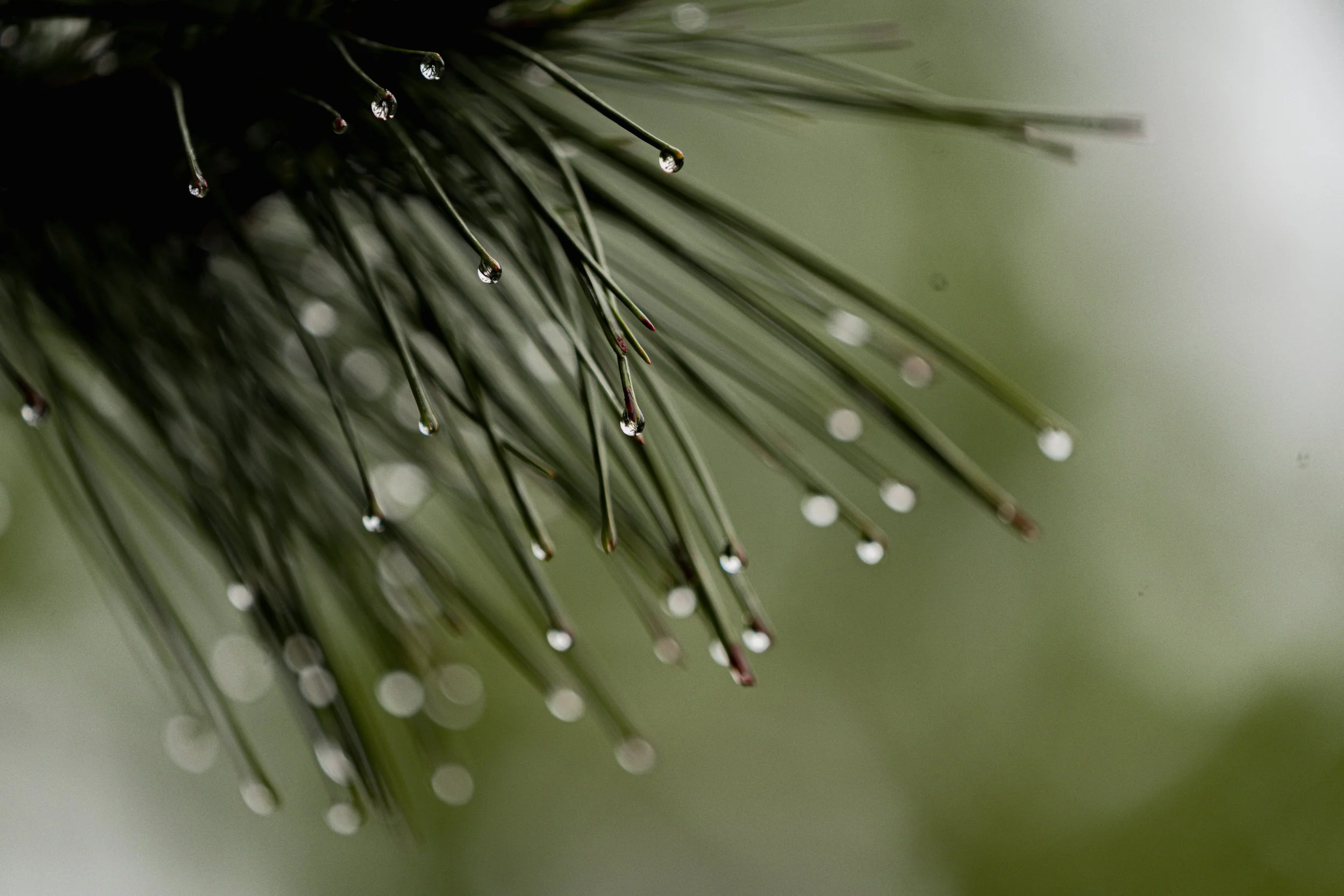 A_507539.jpg