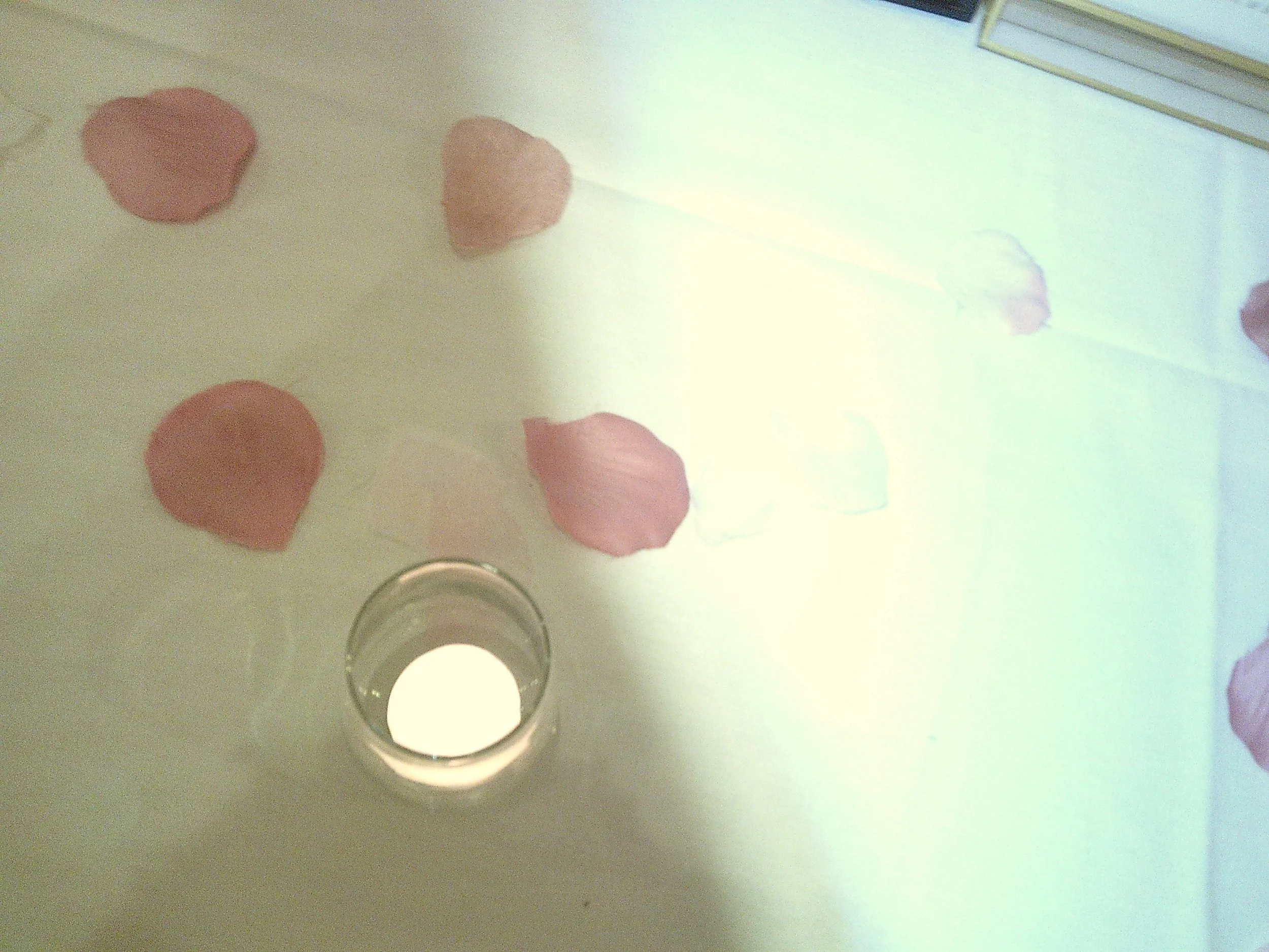 Pink Camera 3 (143).JPG