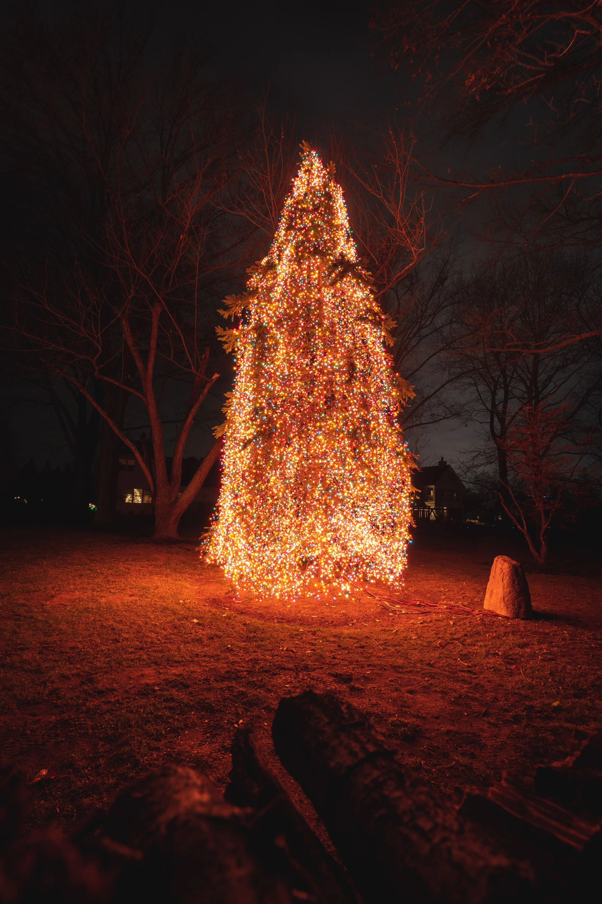 Decorated Christmas tree with multicolored lights at night in a yard with trees and rocks.
