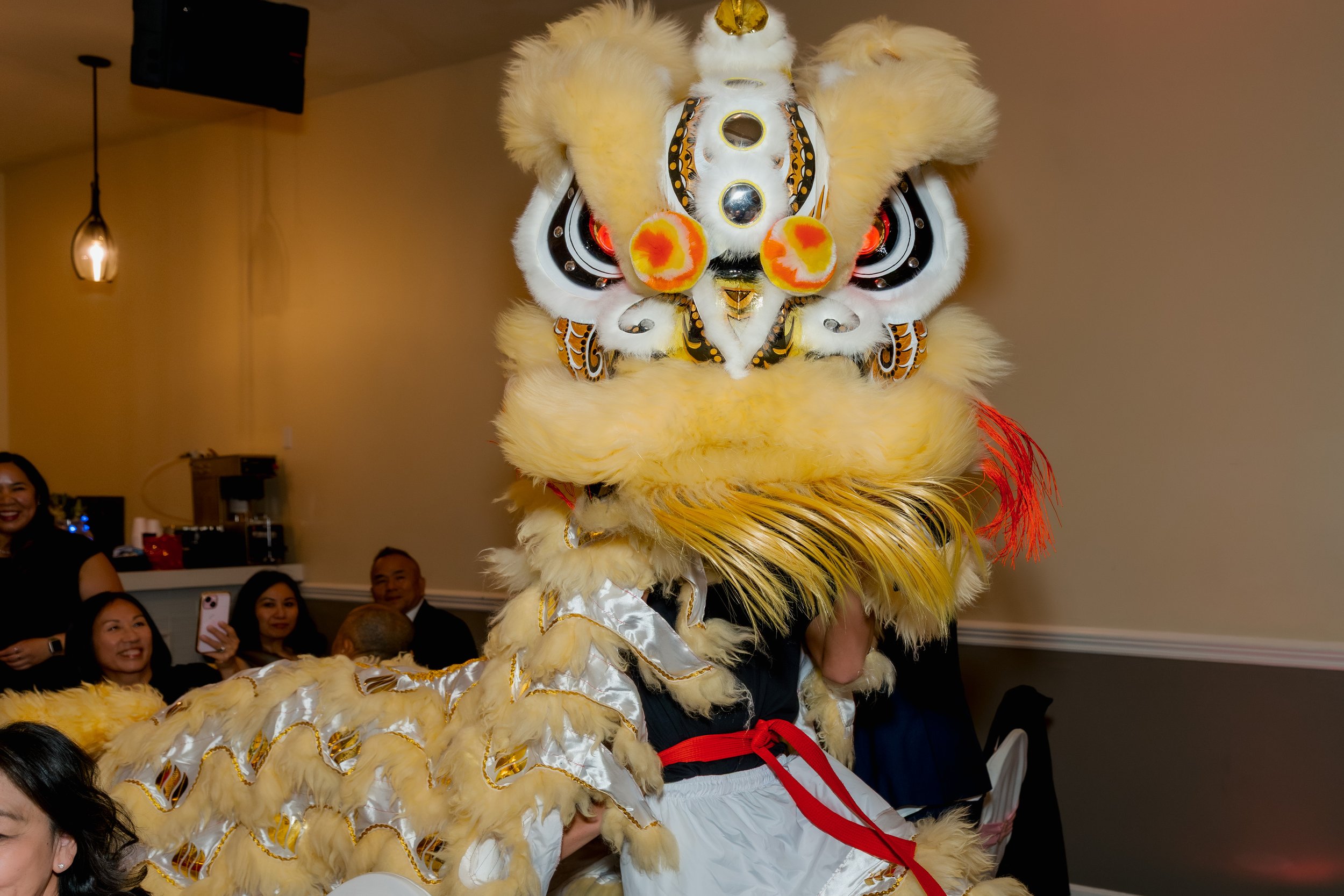 Lion Dance (21).jpg