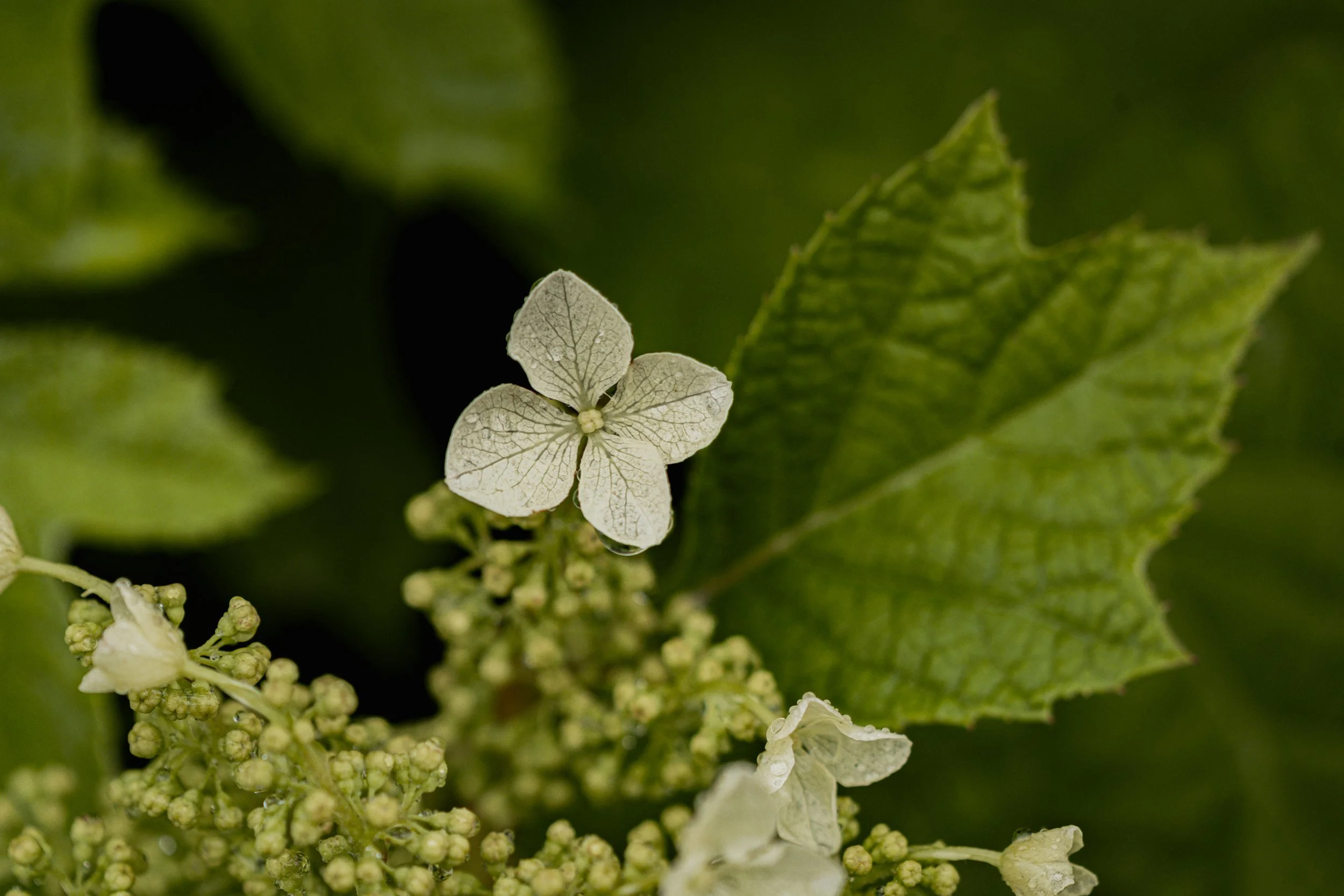 A_507541.jpg