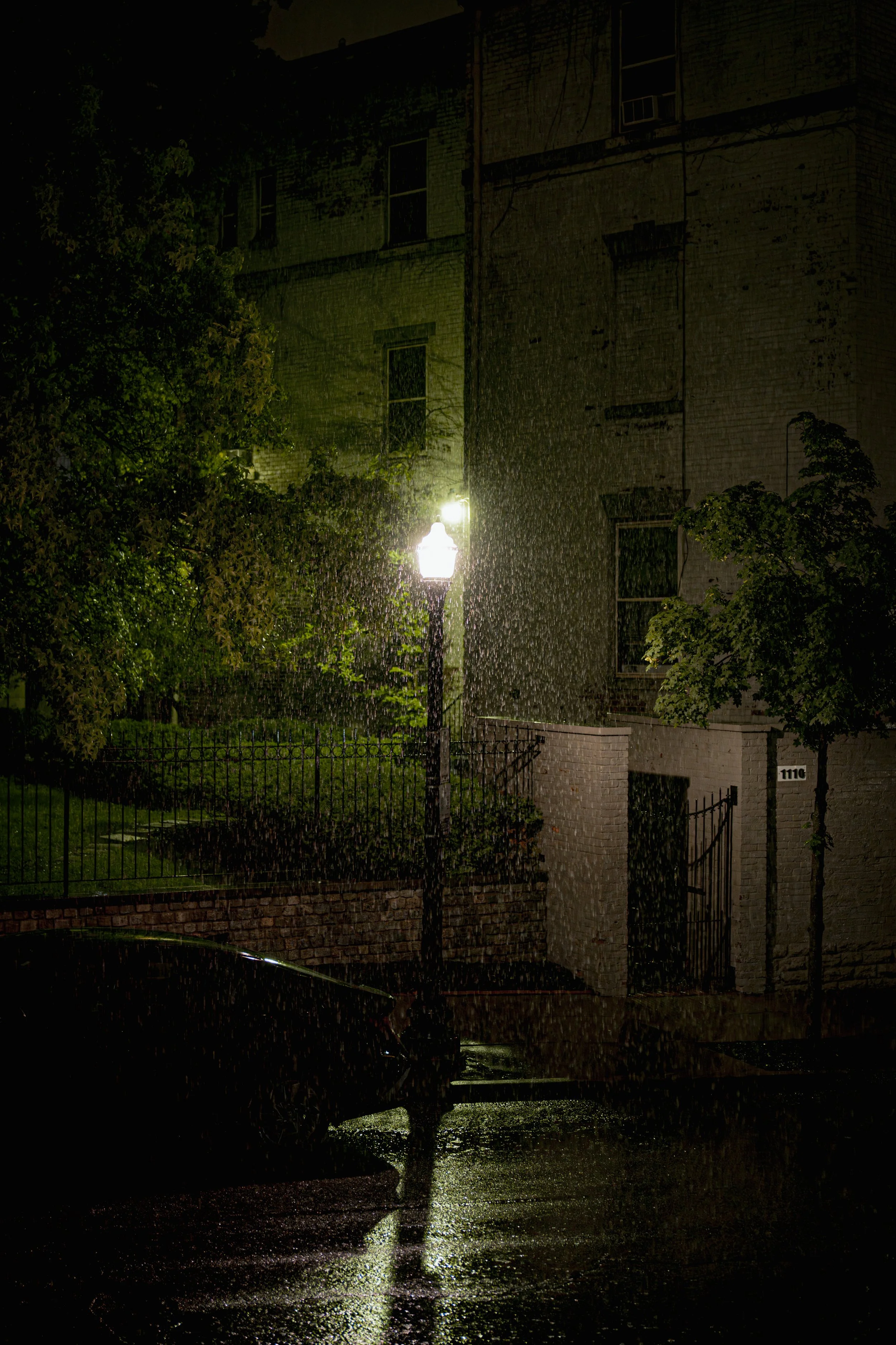 A_507484.jpg