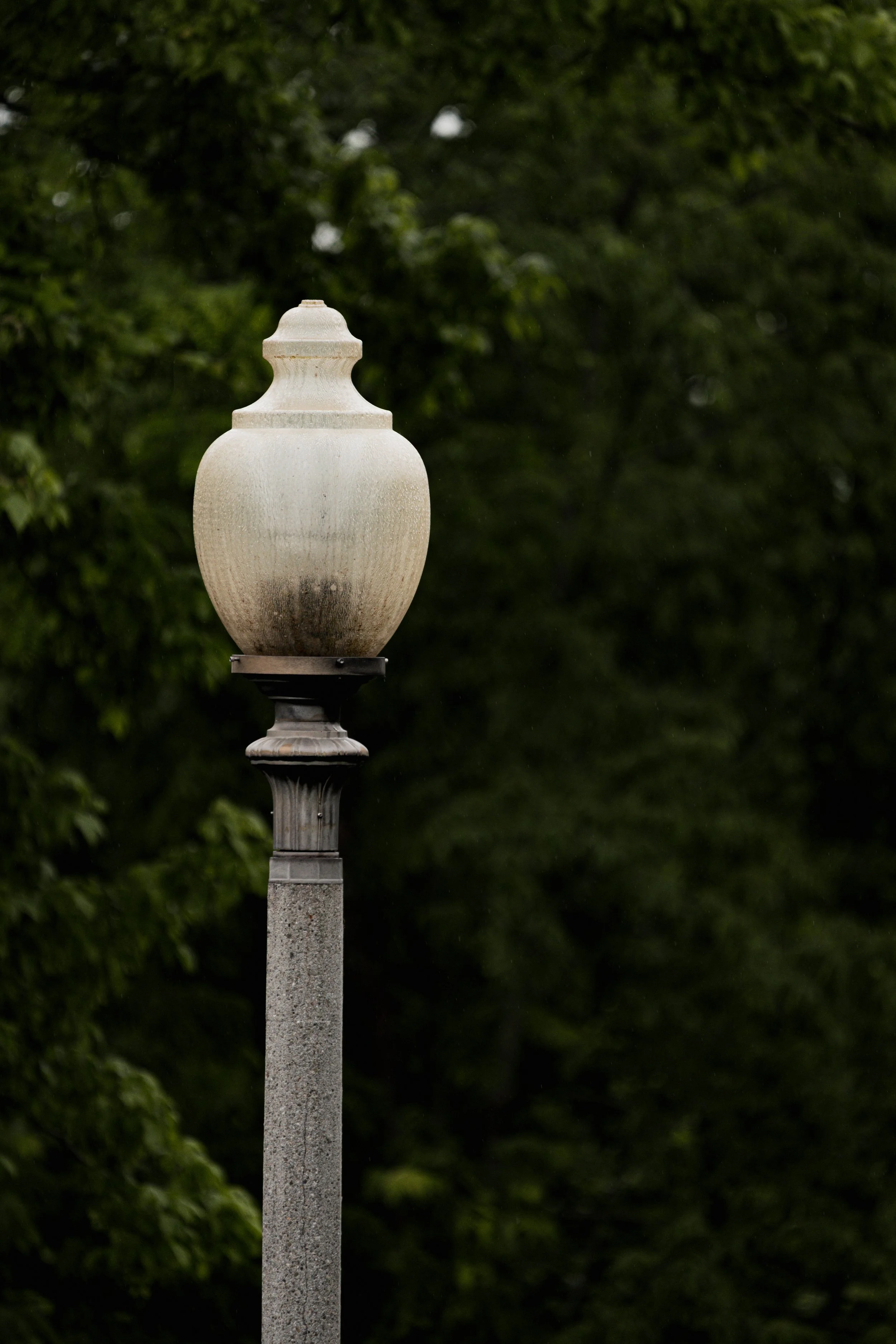 A_507563.jpg