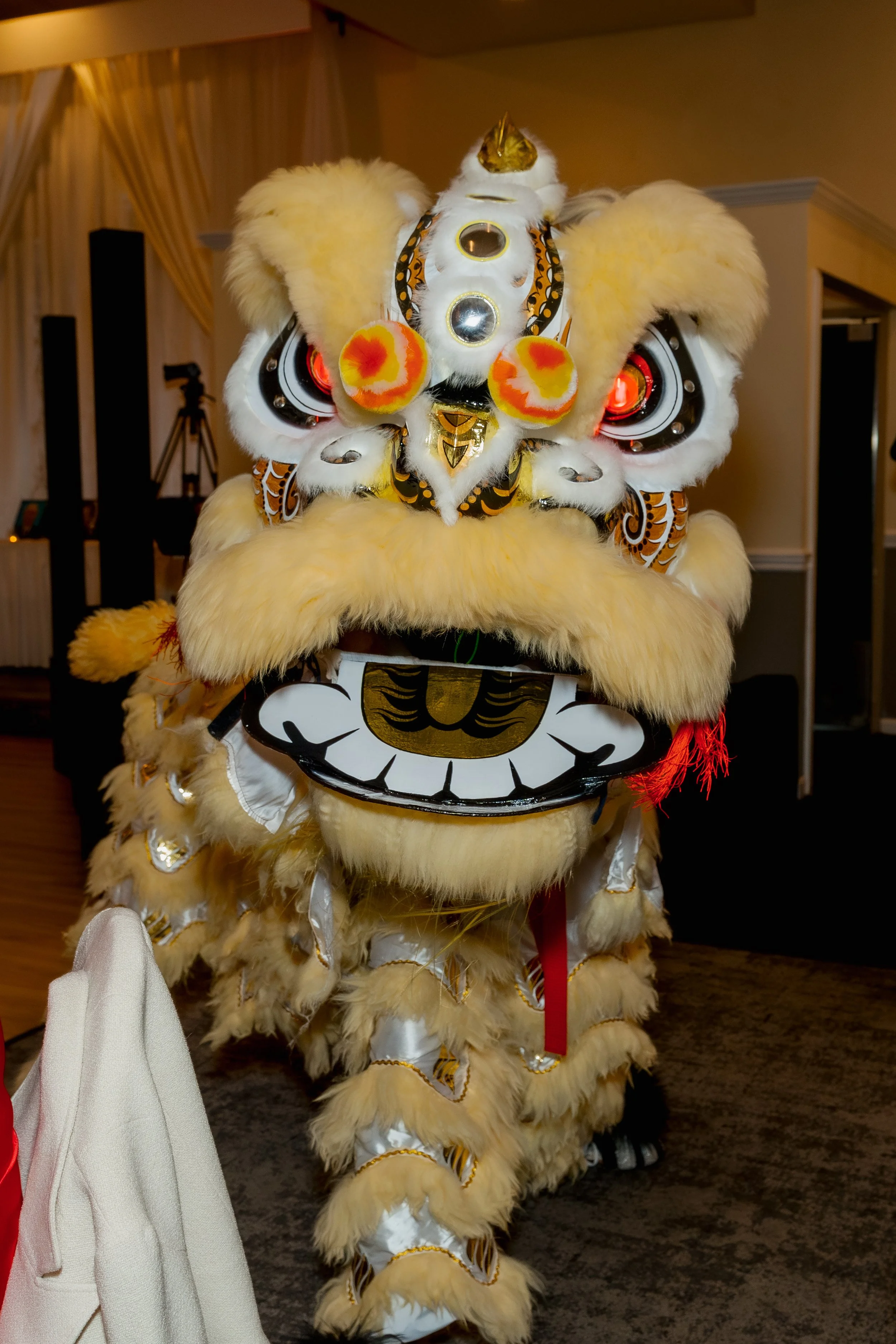 Lion Dance (19).jpg