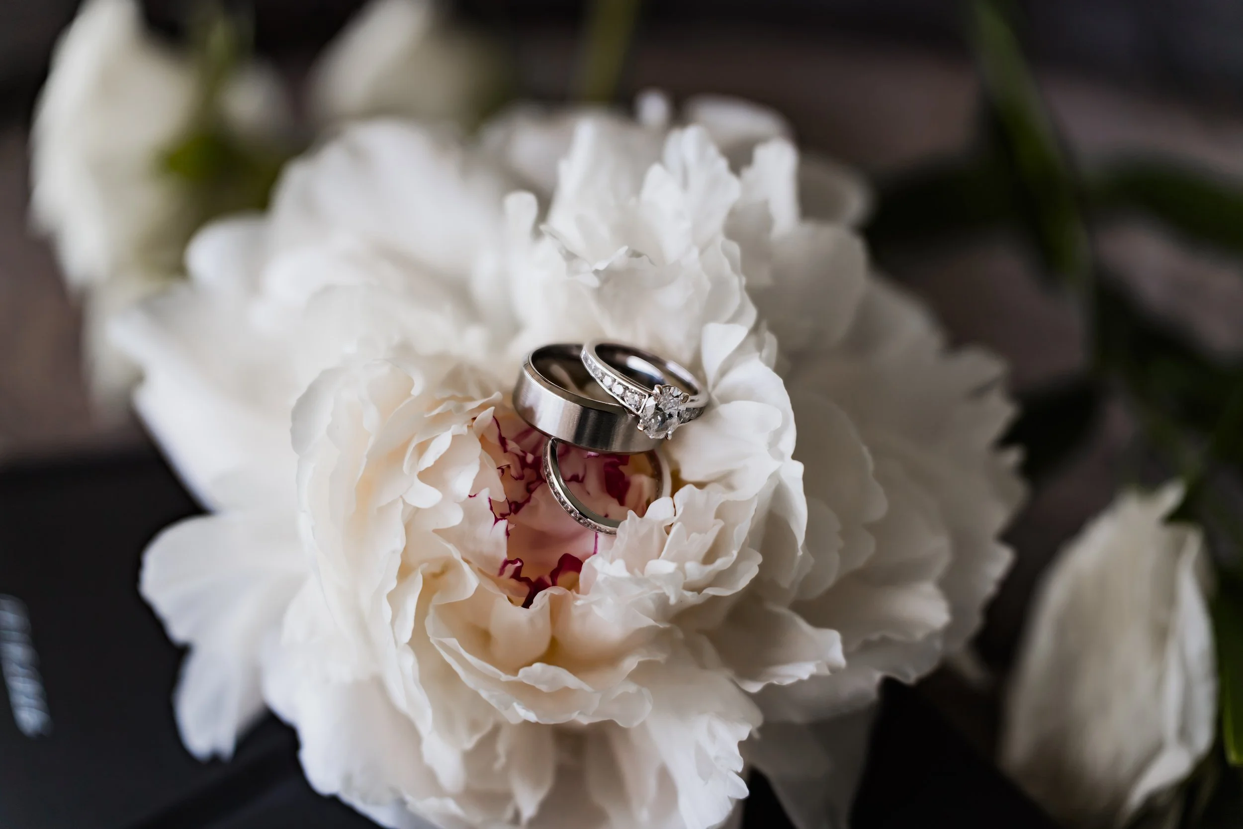 A7503026-Edit.jpg