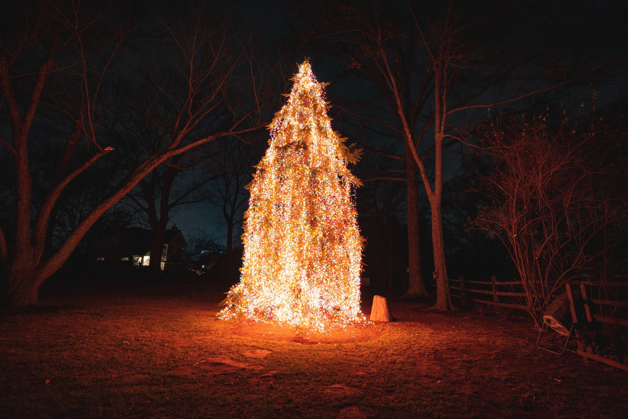 Christmas tree decorated with colorful lights outdoors at night.