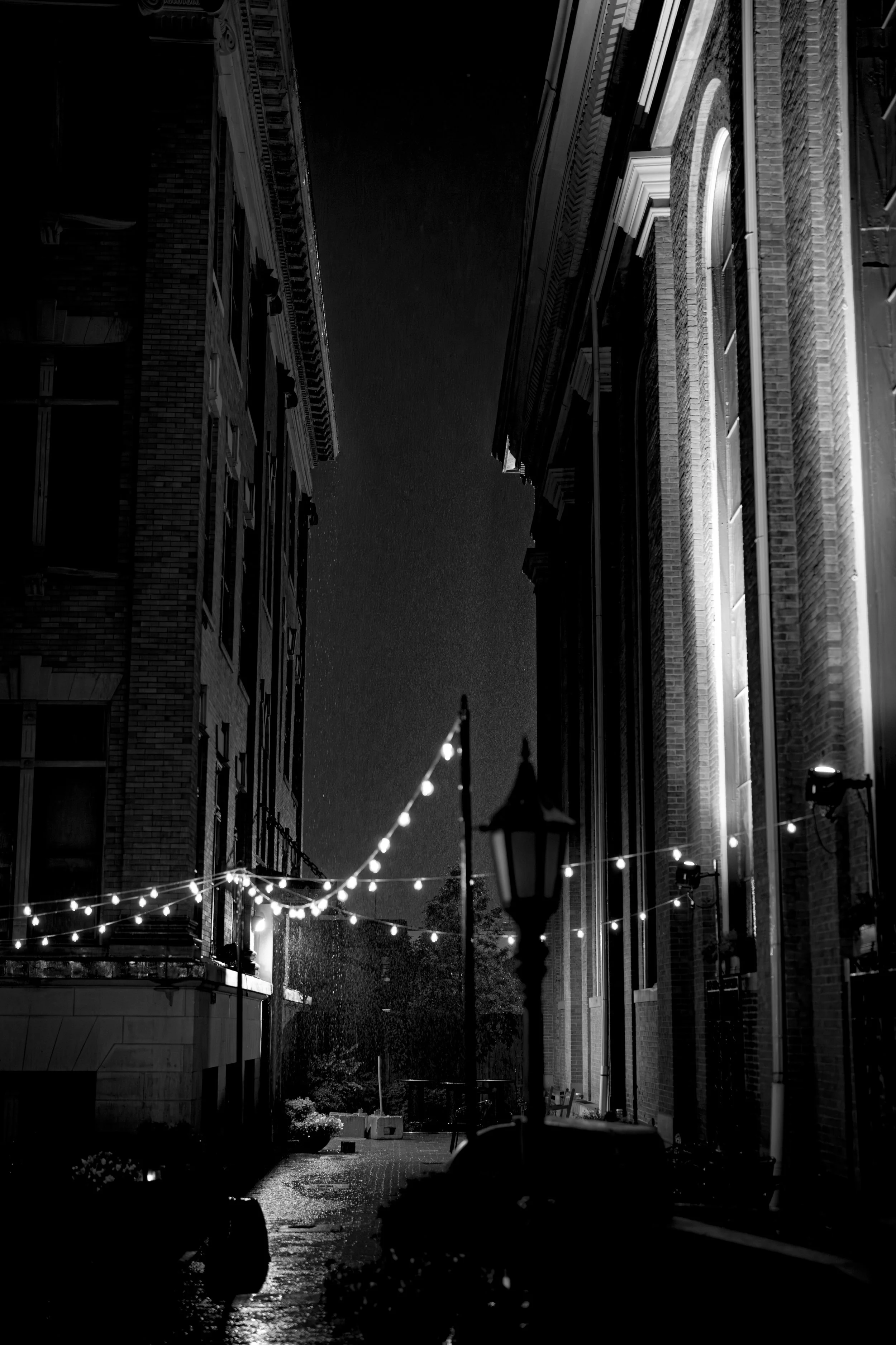 A_507485.jpg