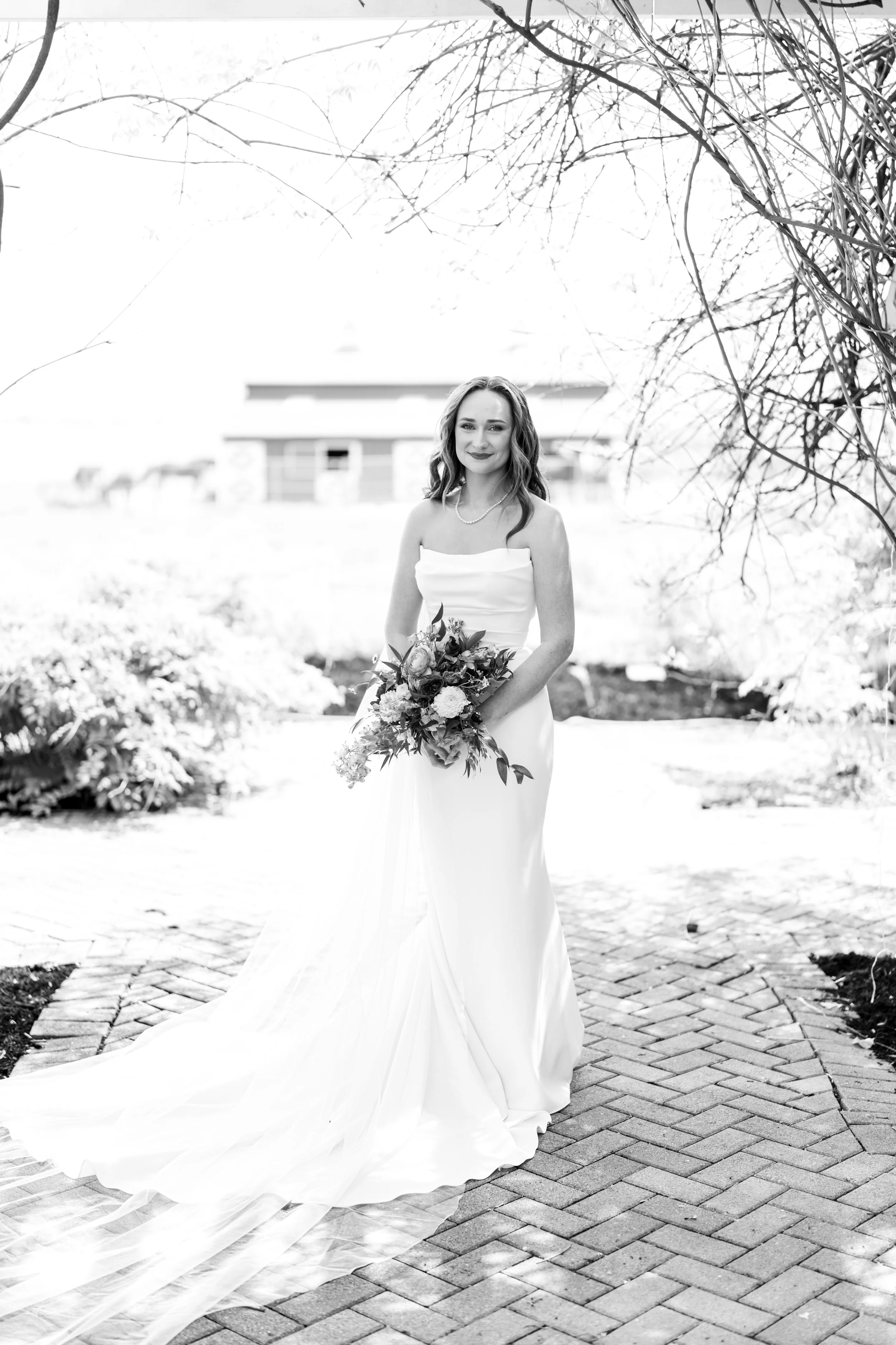 A7501547-2.jpg