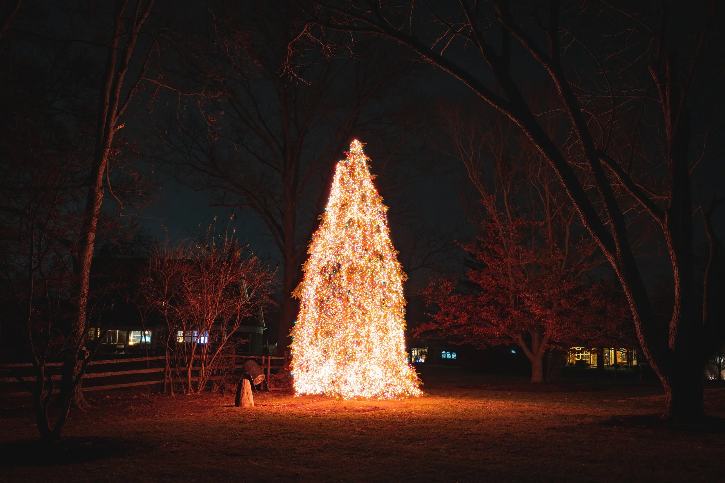A decorated Christmas tree lit with white and orange lights outdoors at night, surrounded by leafless trees and a house with lit windows in the background.