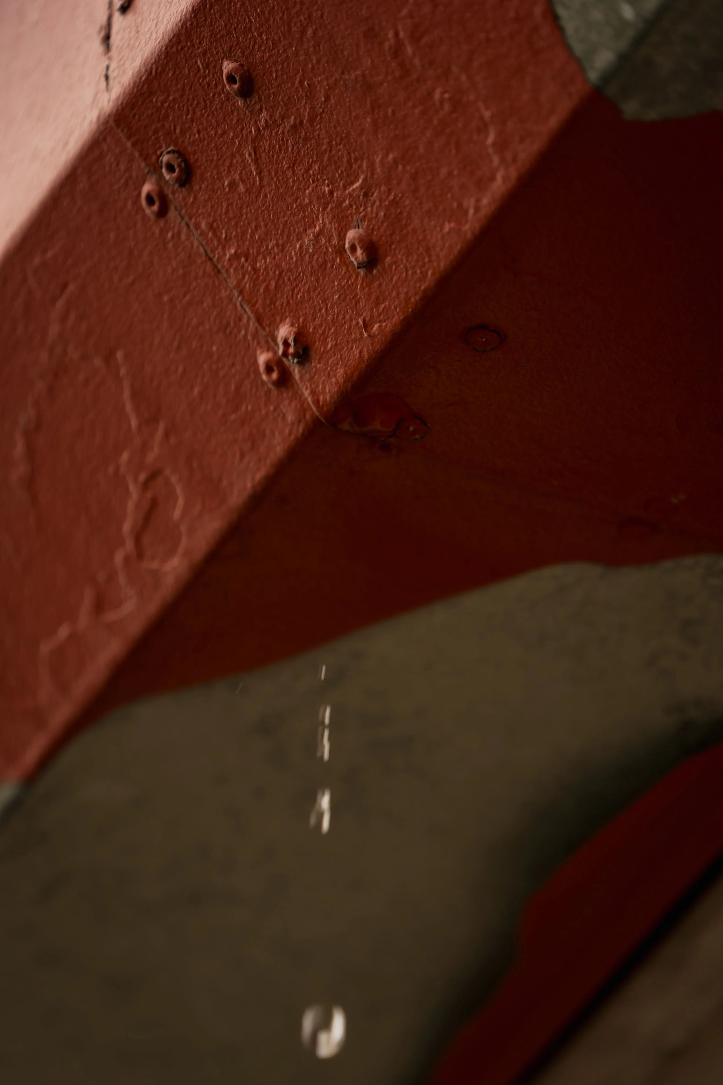 A_507534.jpg