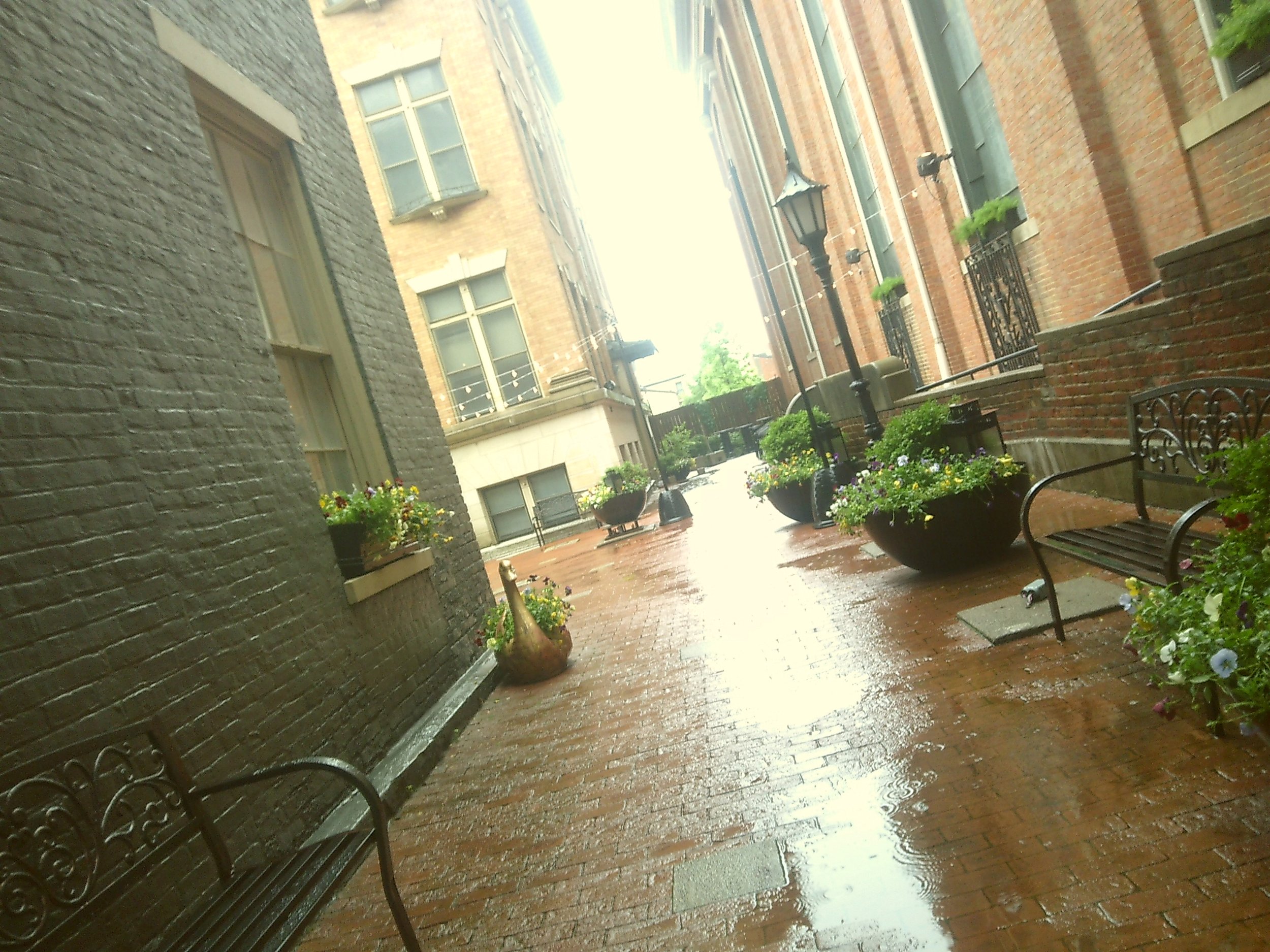 Yellow Camera 2 (34).JPG