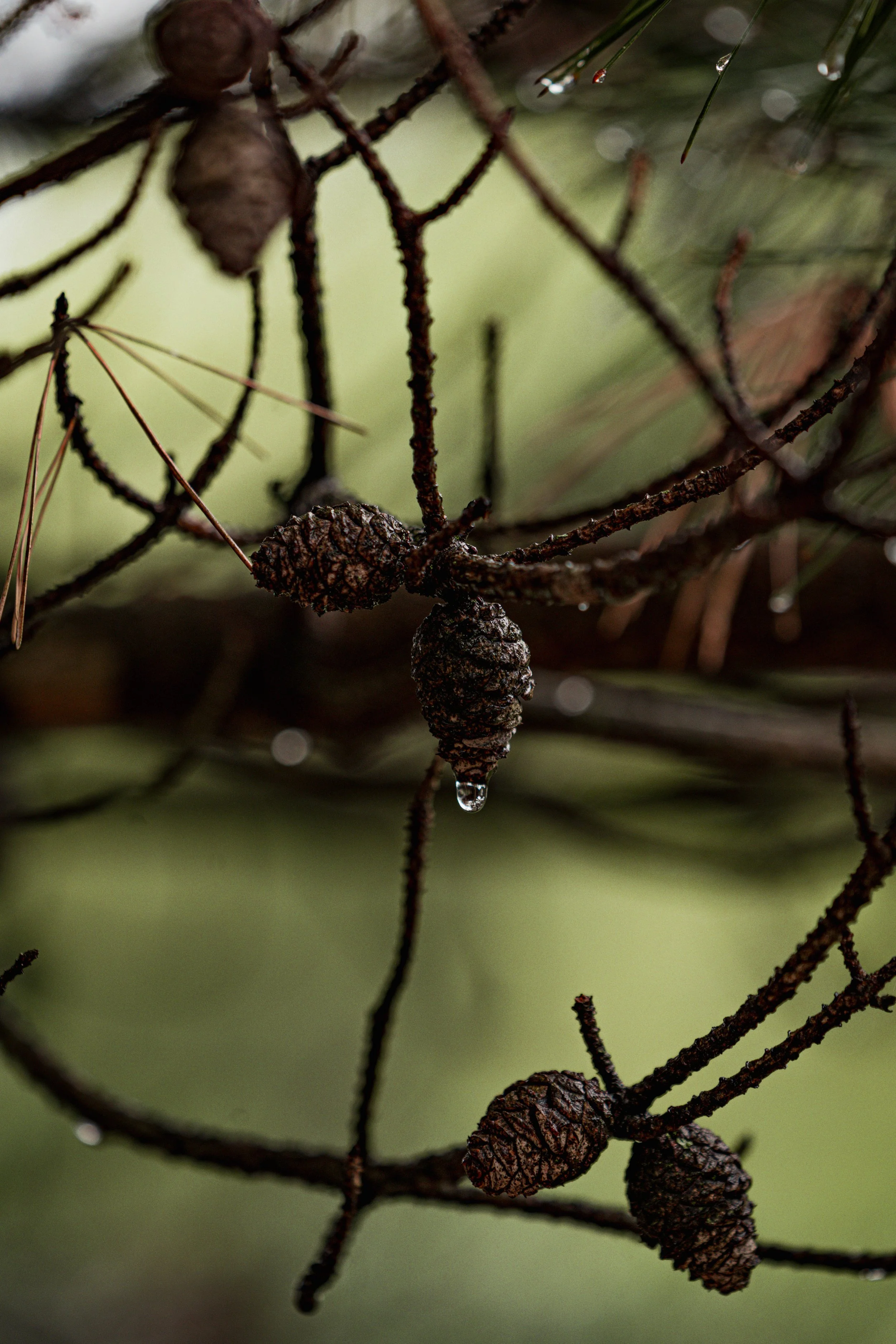 A_507566.jpg