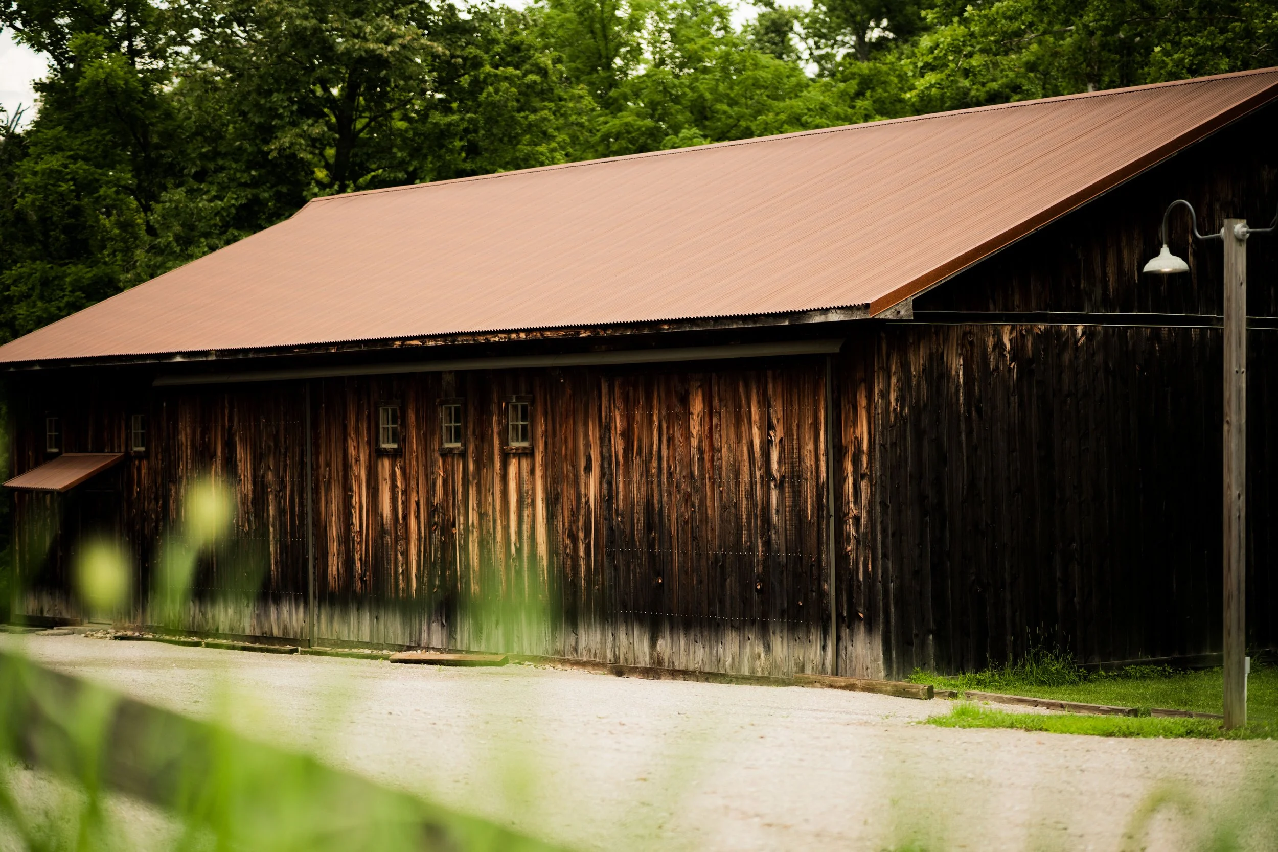 A_501778.jpg