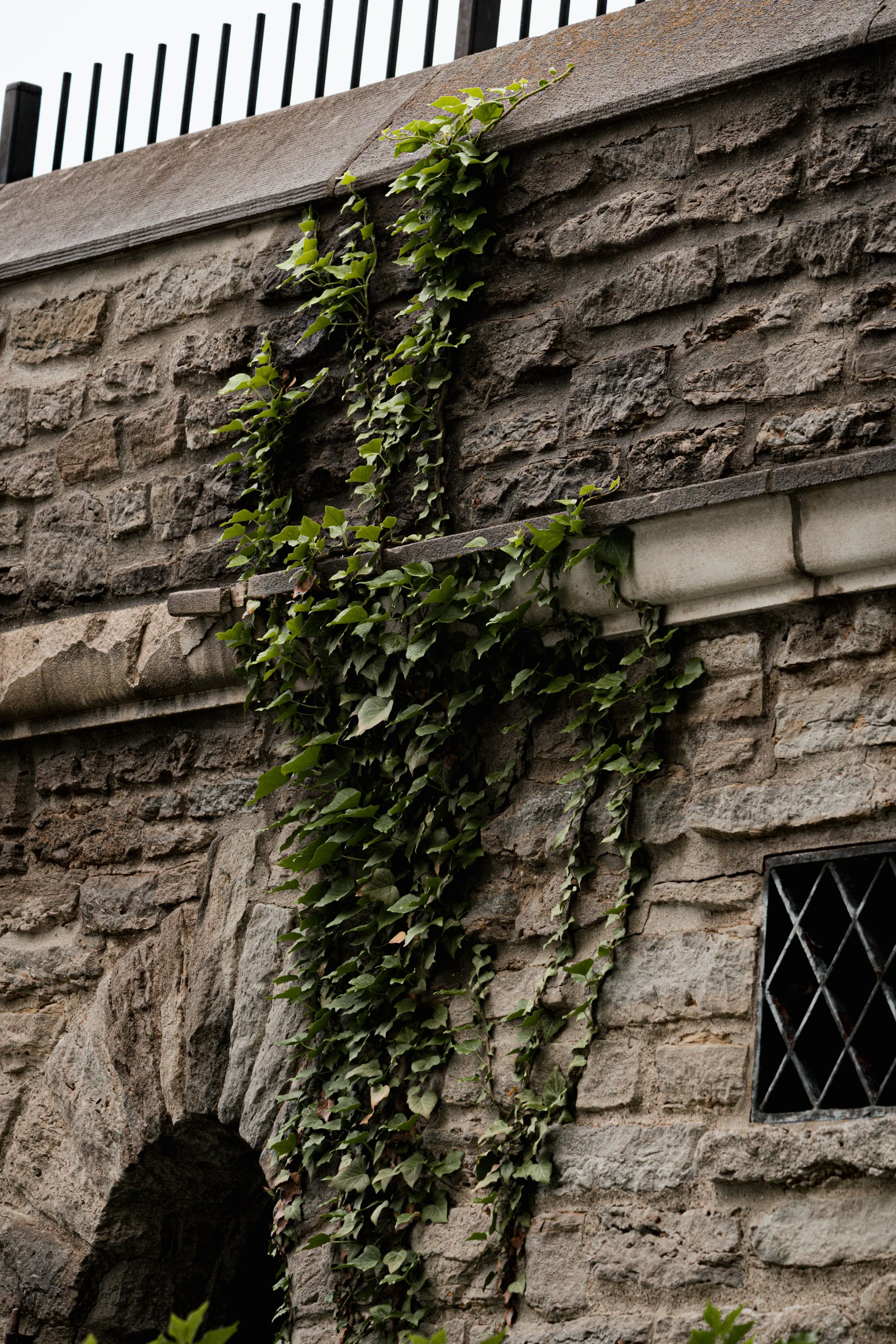 A_507580.jpg