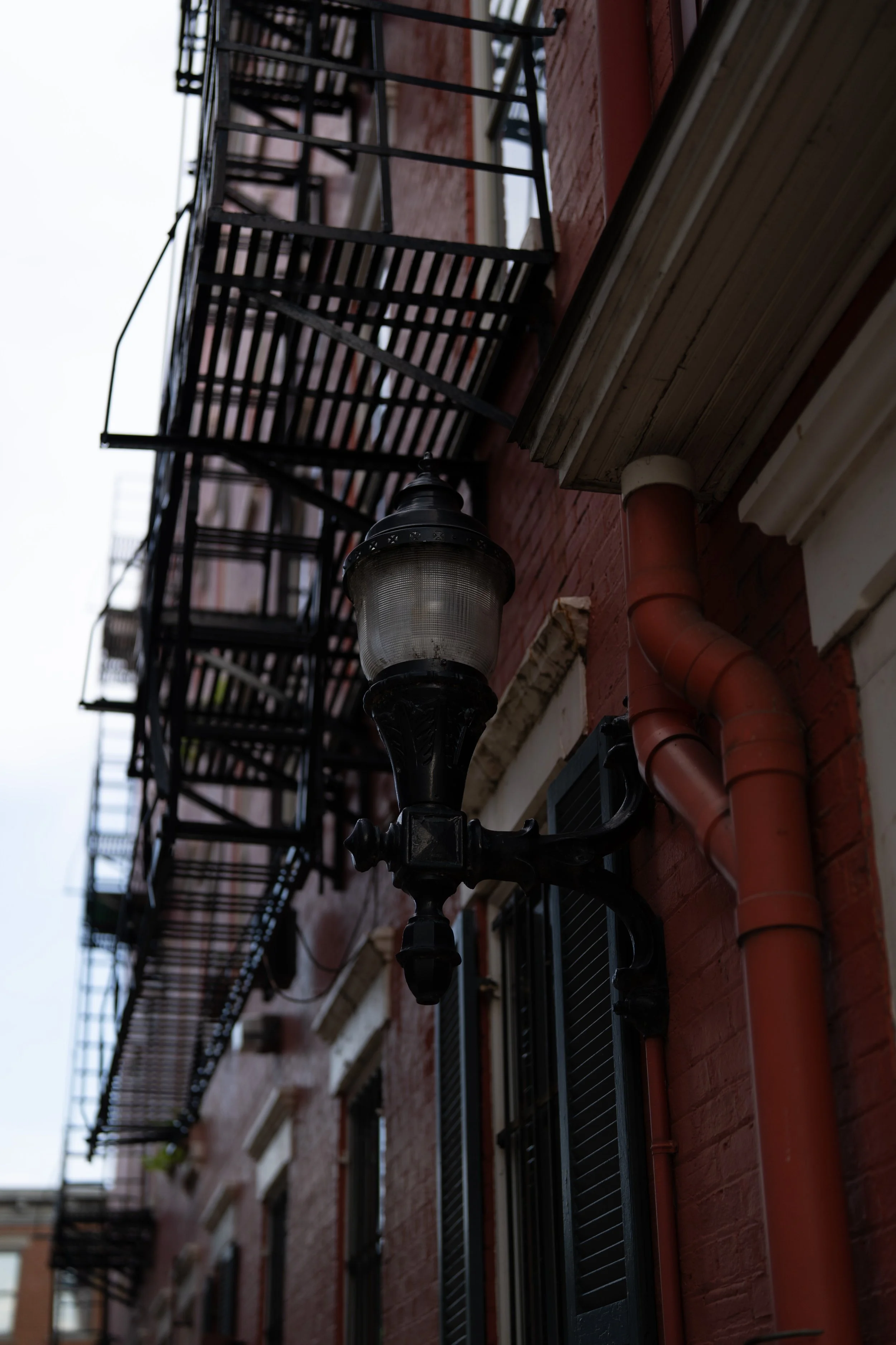 A_501269.jpg