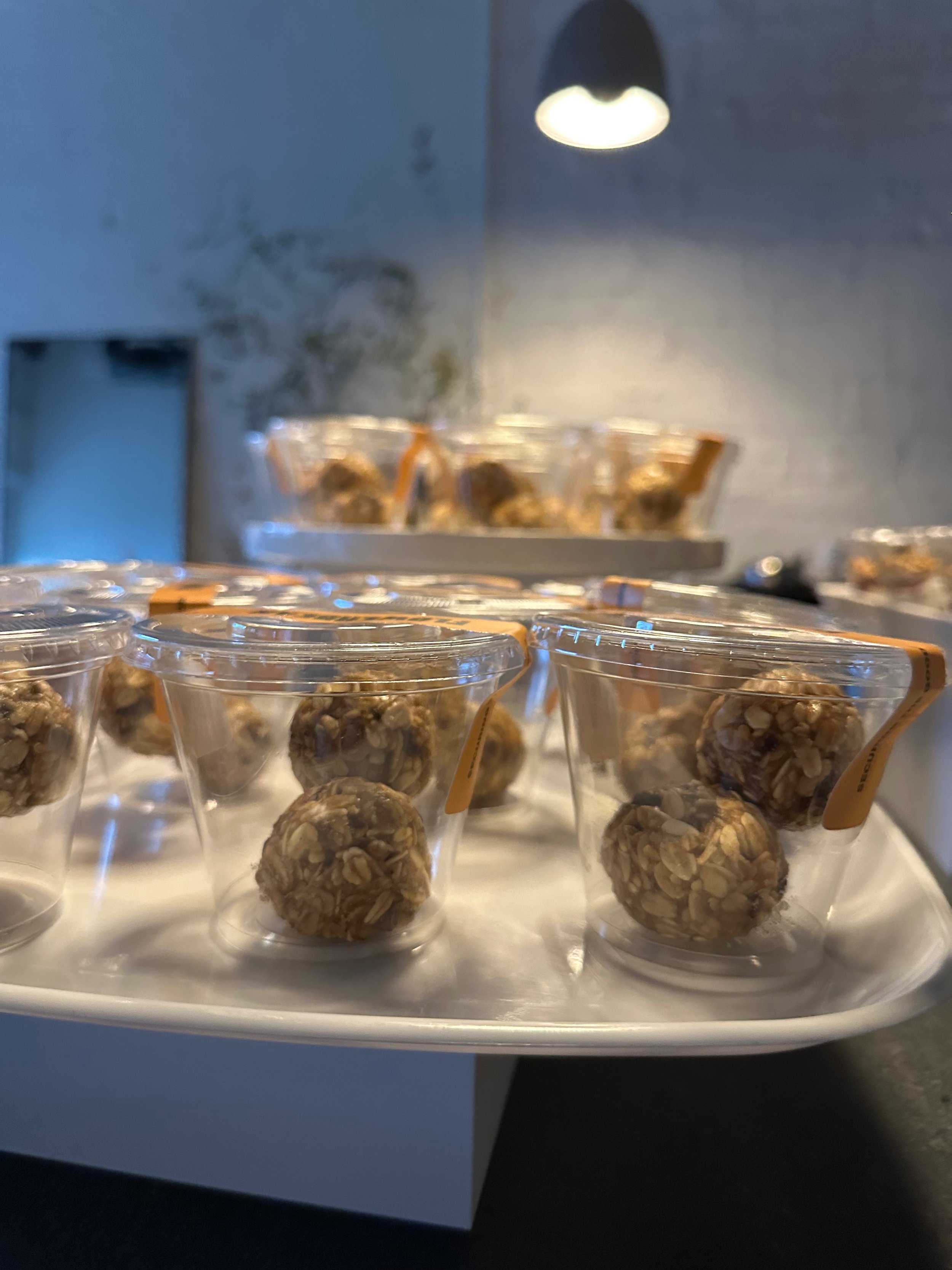 Protein Bites (2 per pack)