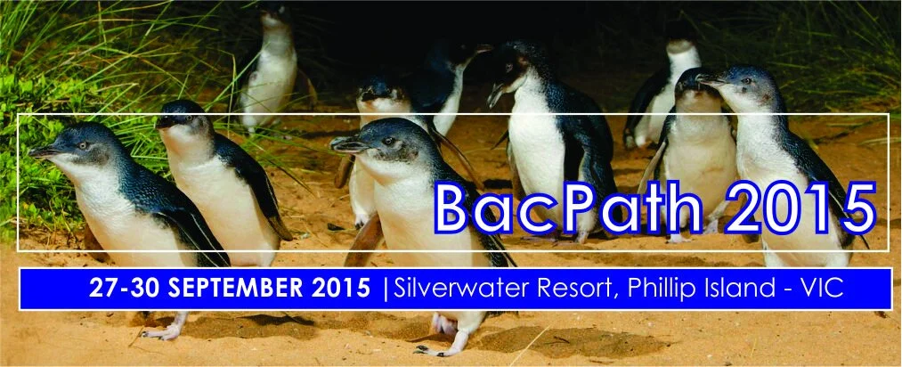 BacpathBanner.jpg