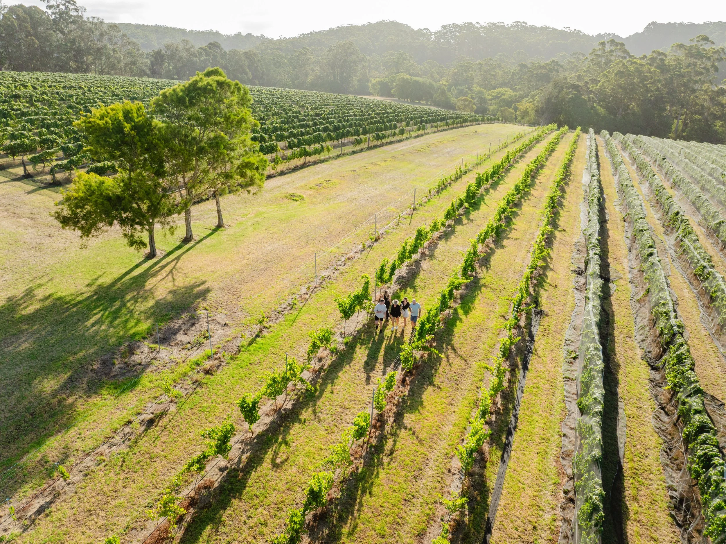 Margaret River Winery.jpg