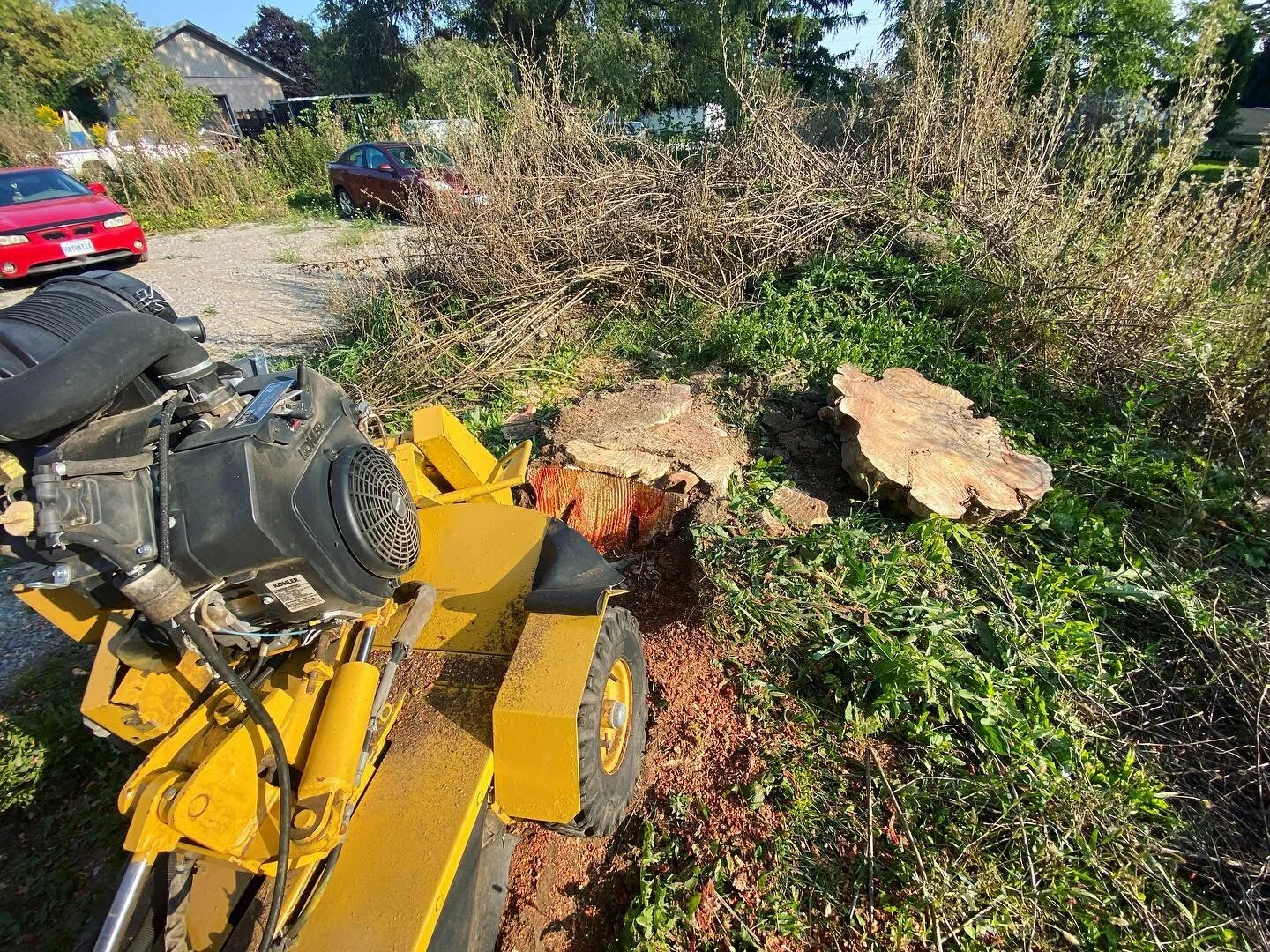 Unwanted stump taking up room in your back yard?

Ask us about our new stump grinder.