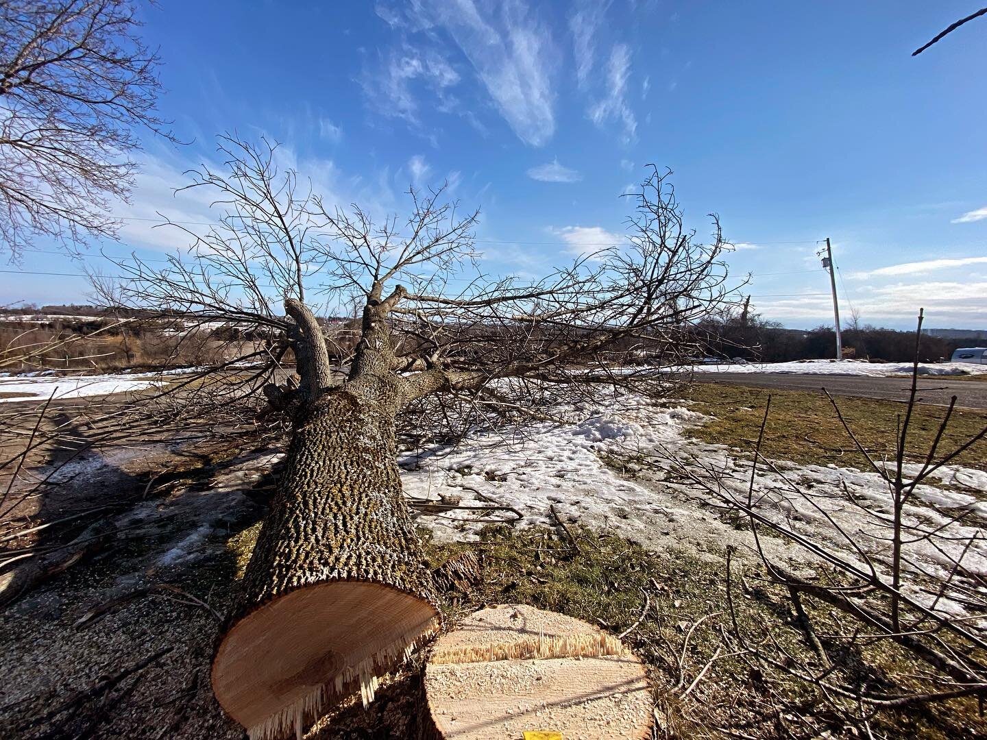 We make your dead trees disappear.

Book your Free quote today at 705-931-0667.

🌲