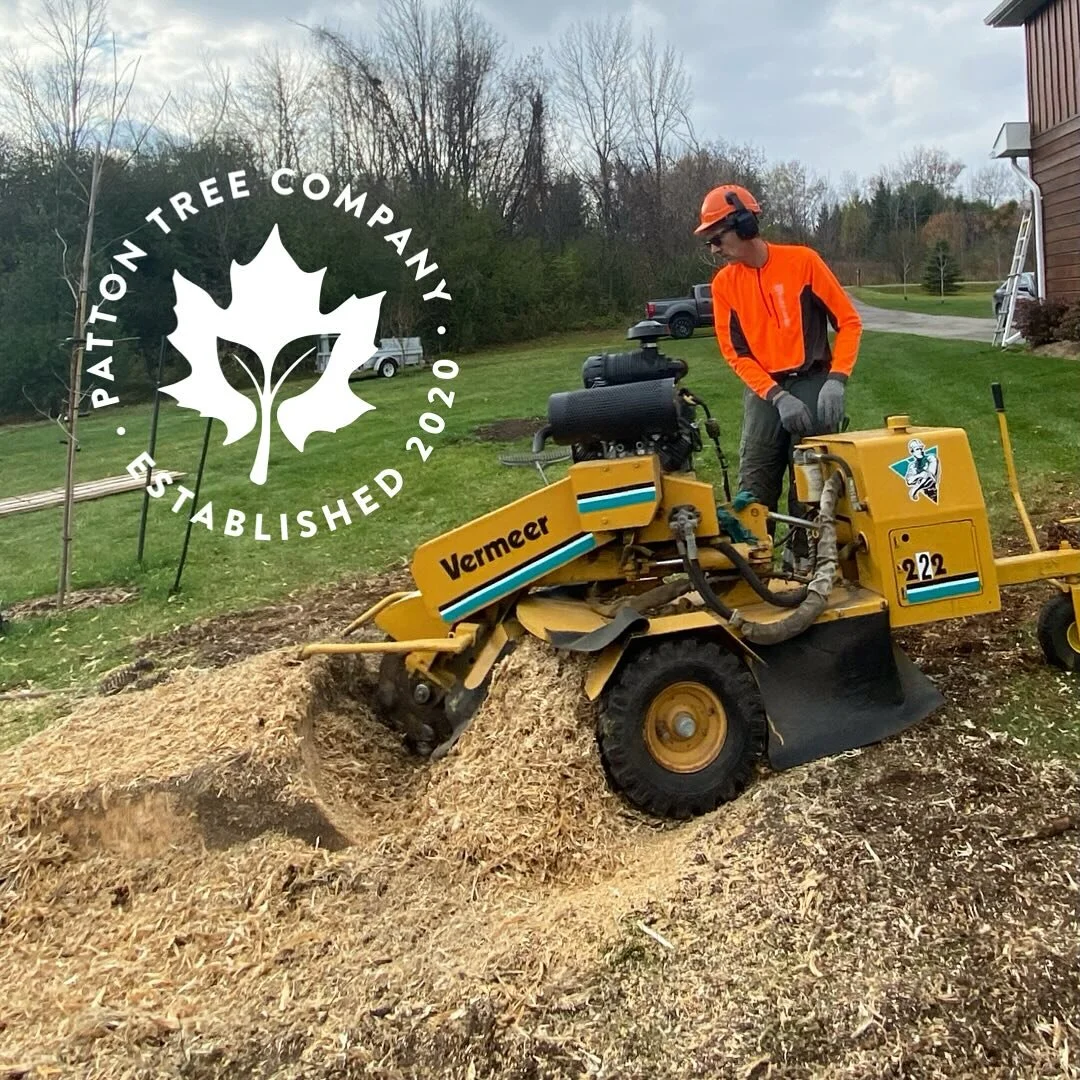 Big or small we grind &lsquo;em all.

Give us a call at 705-931-0667 for your free tree or stump consultation today.

Let&rsquo;s talk trees🌳